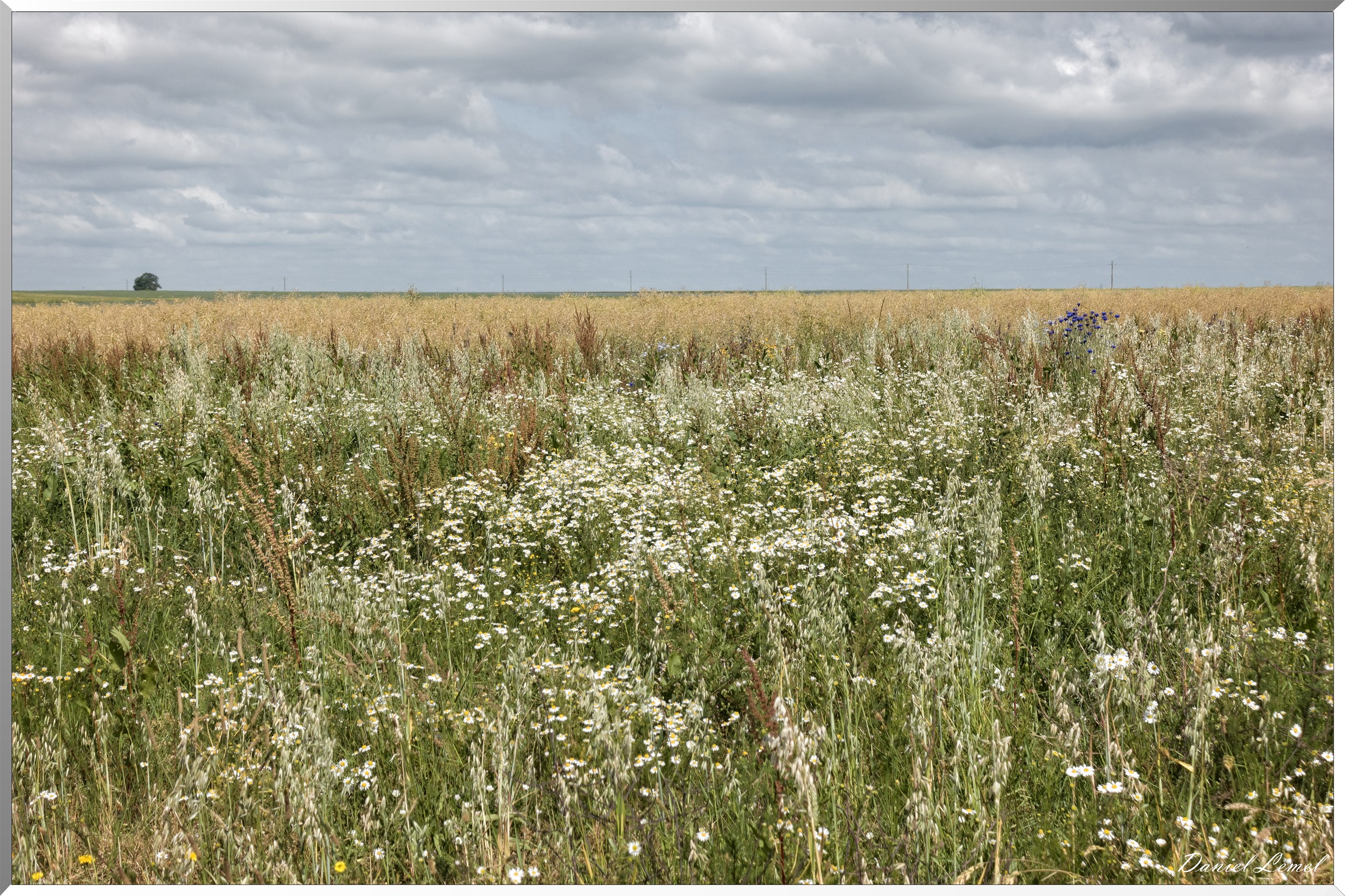 La Chapelle-Réanville