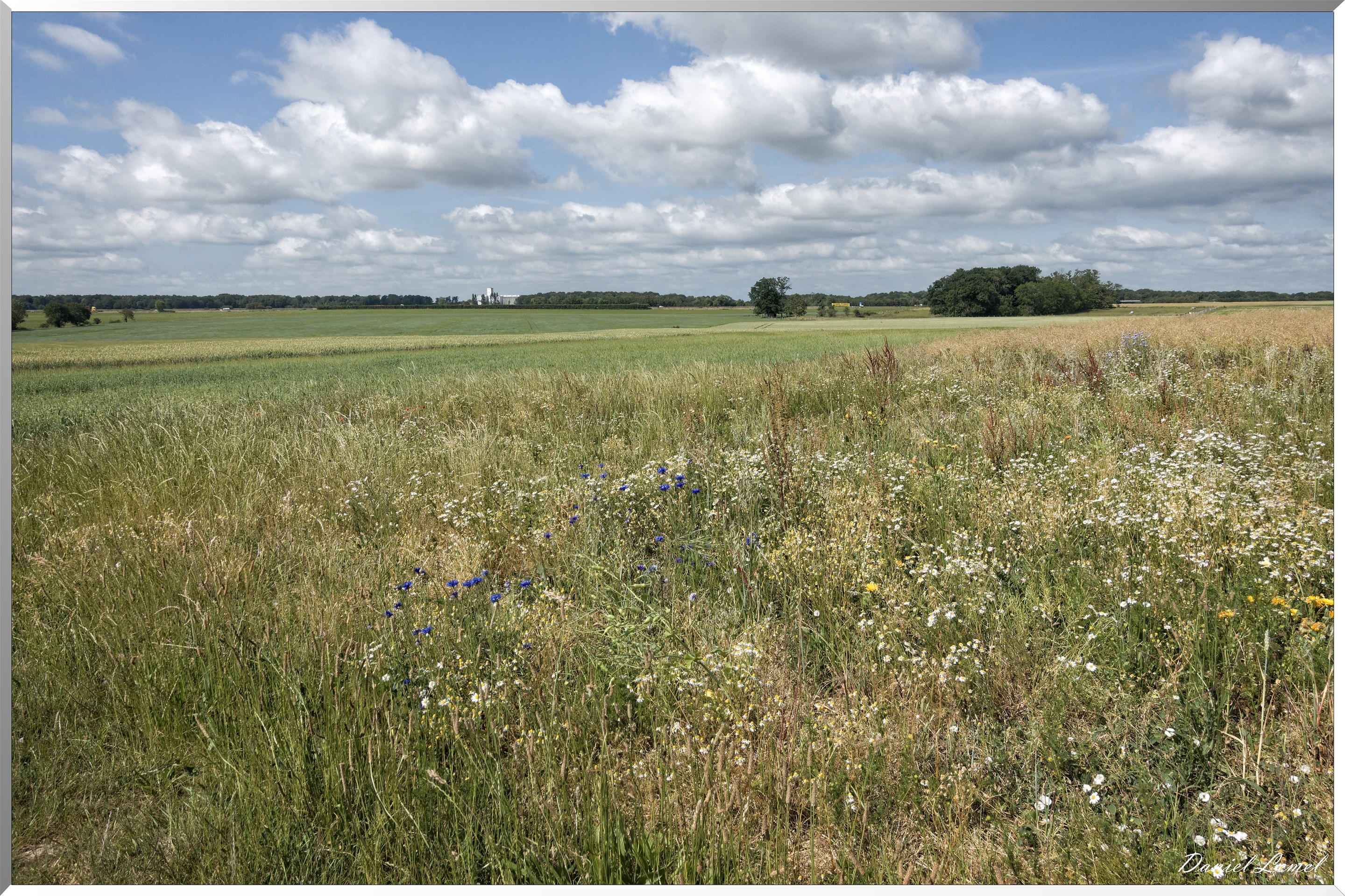 La Chapelle-Réanville