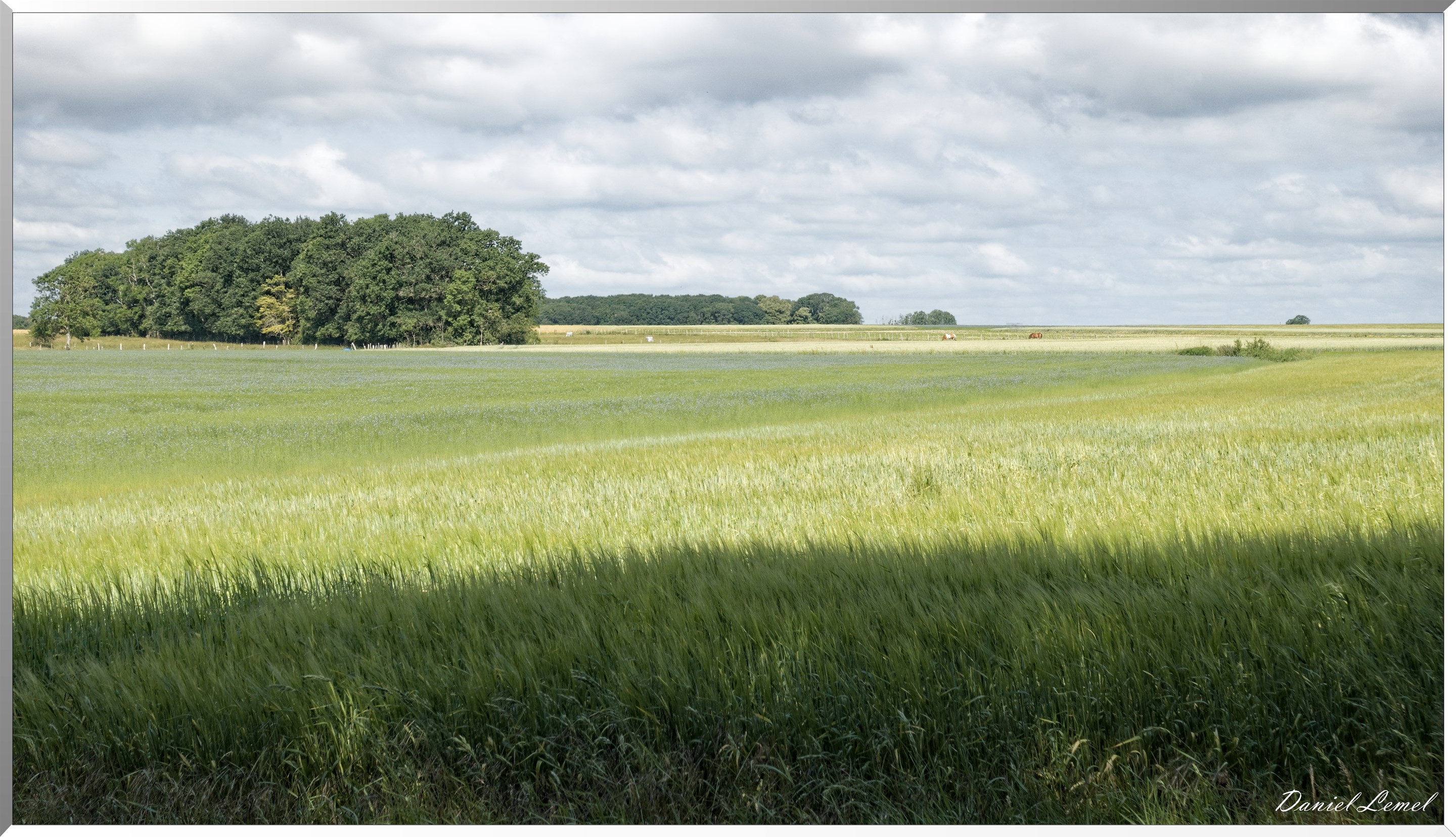 La Chapelle-Réanville
