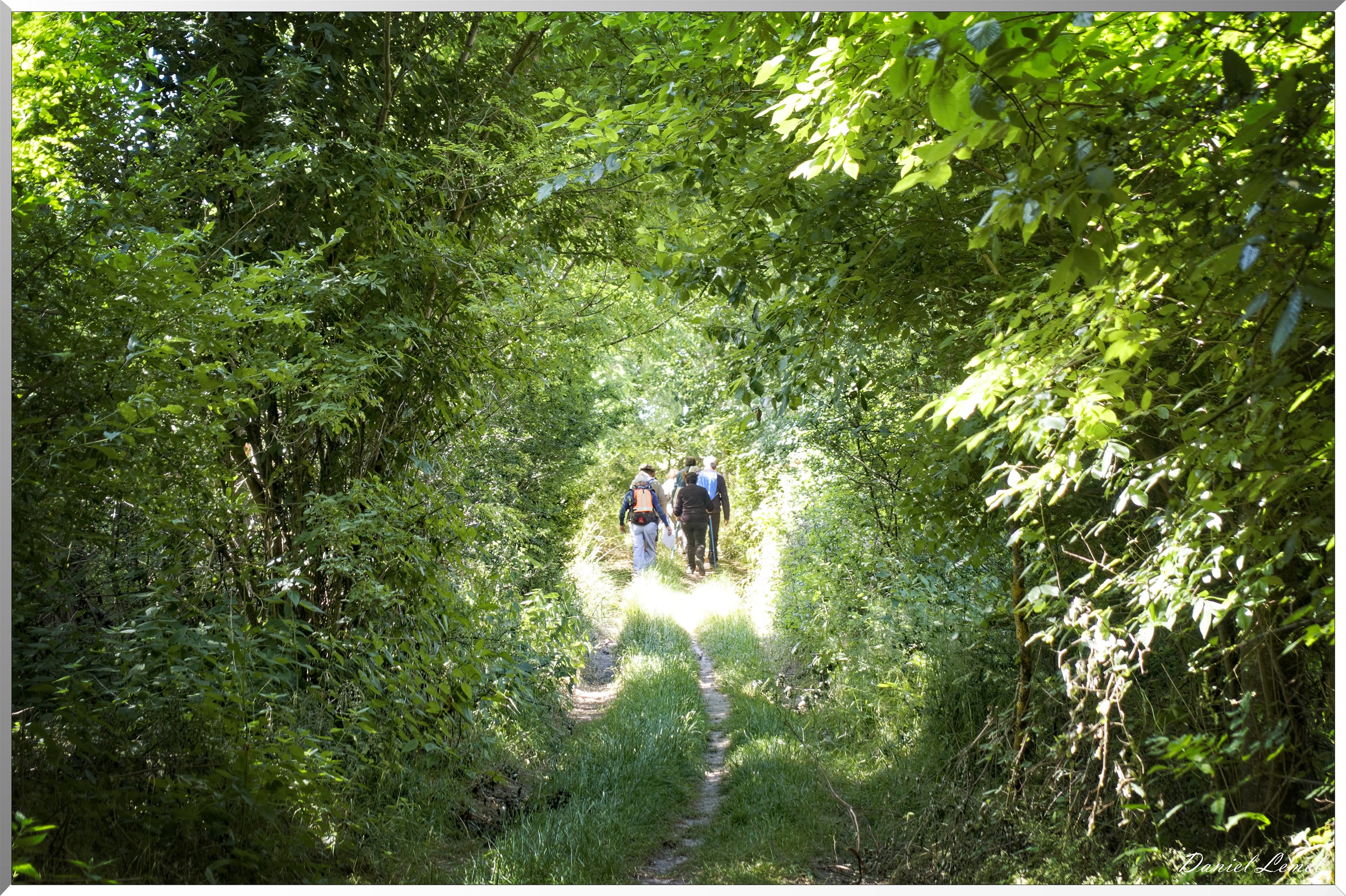 La Chapelle-Réanville