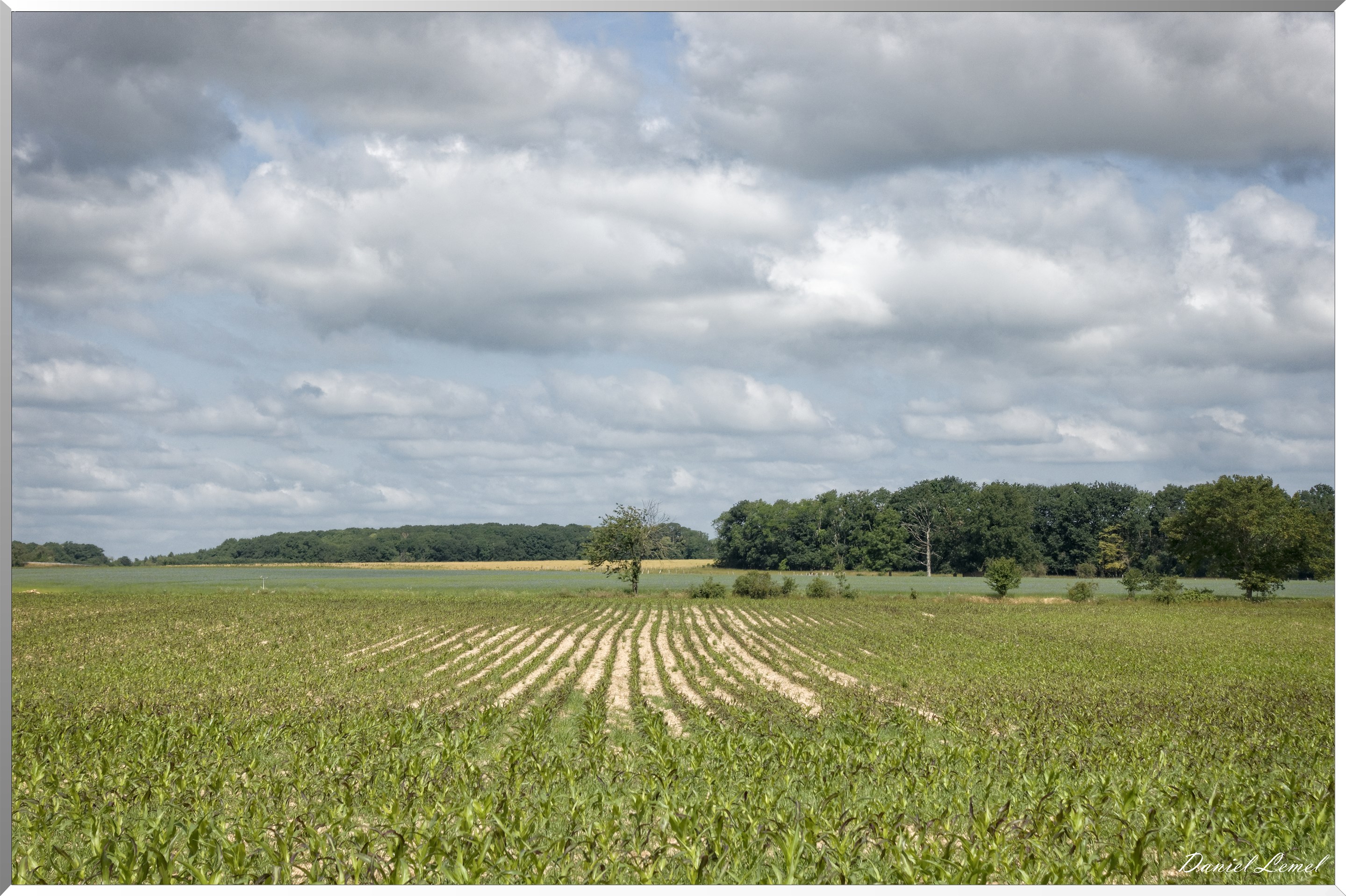 La Chapelle-Réanville