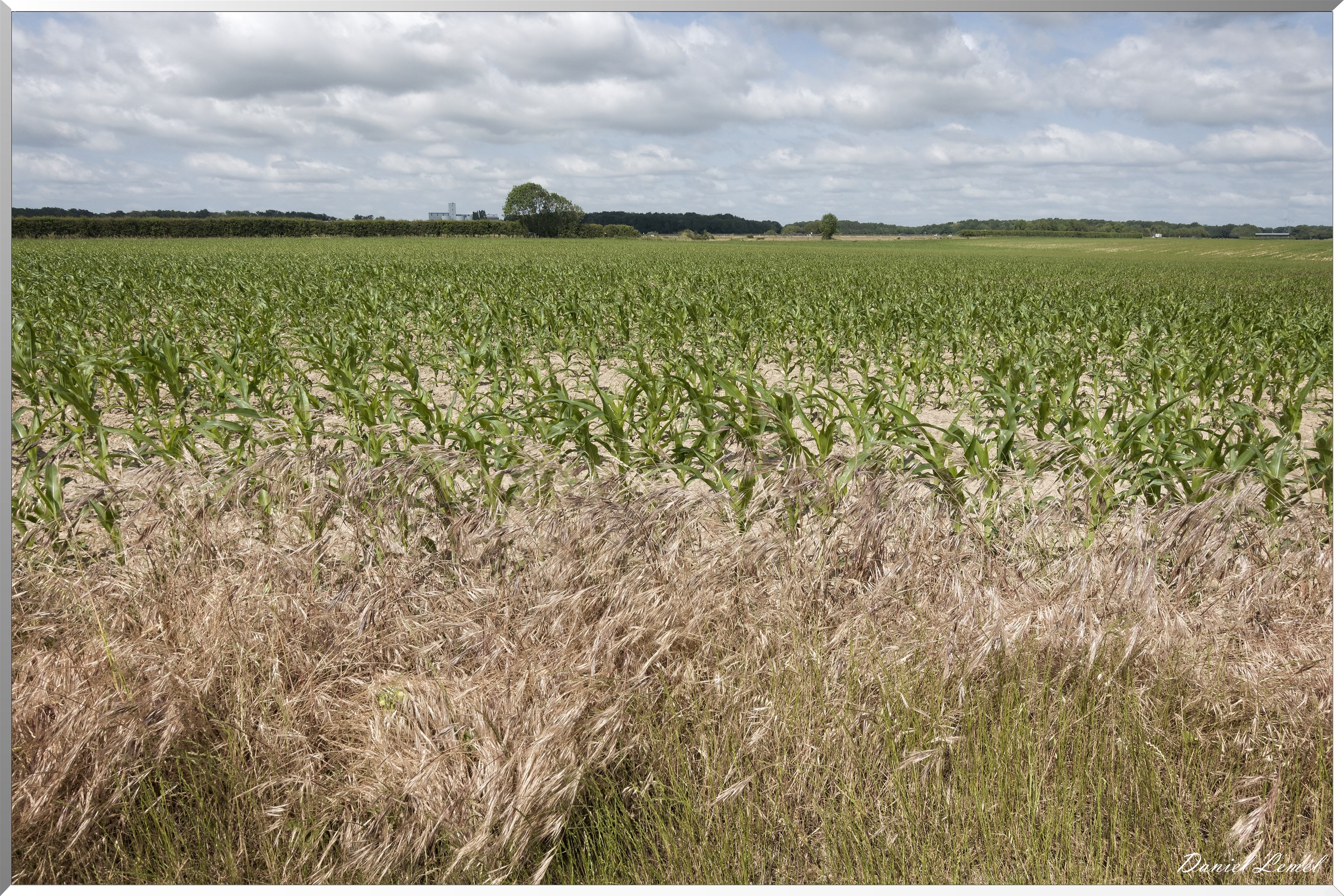 La Chapelle-Réanville