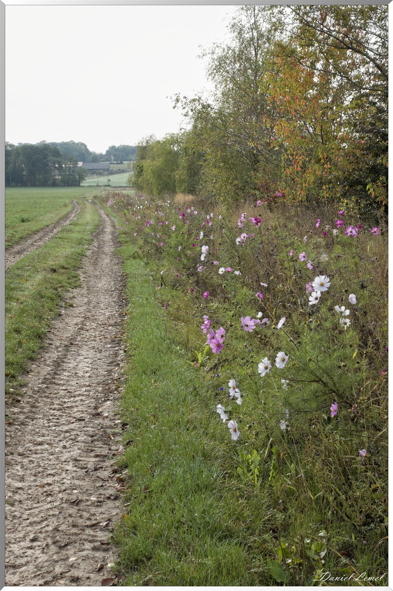 Bois-Jérôme-Saint-Ouen