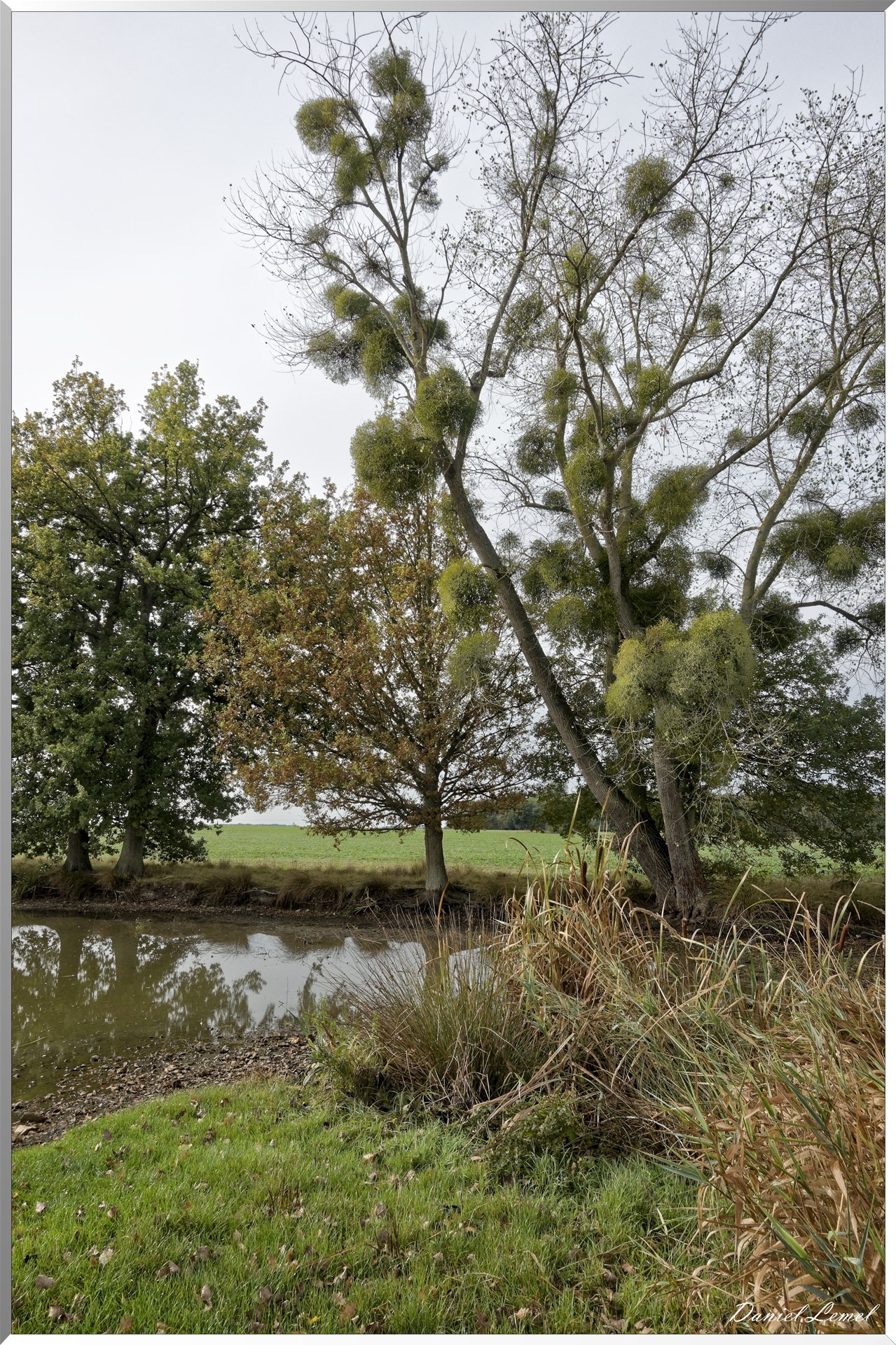 Bois-Jérôme-Saint-Ouen