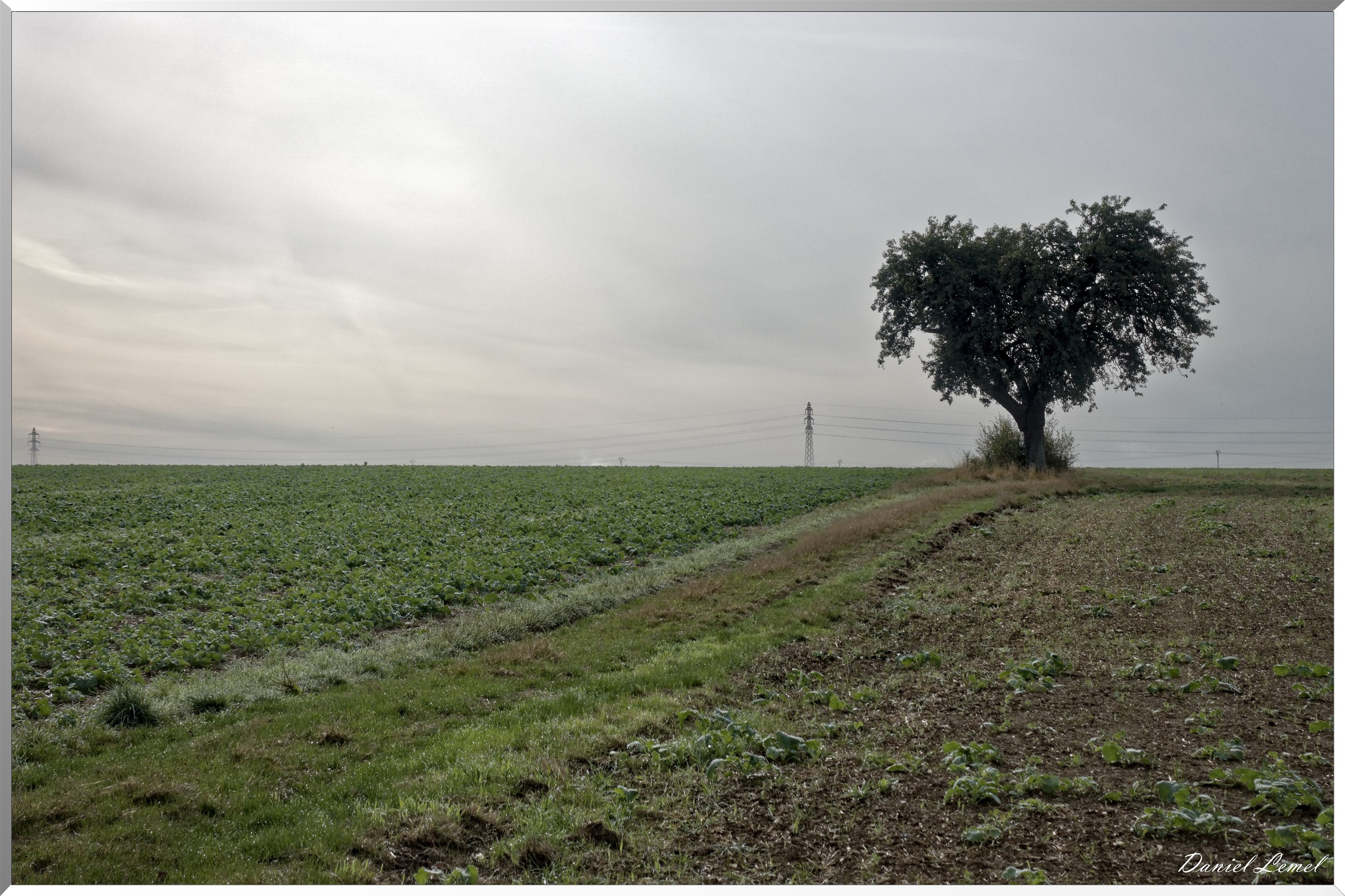 Bois-Jérôme-Saint-Ouen