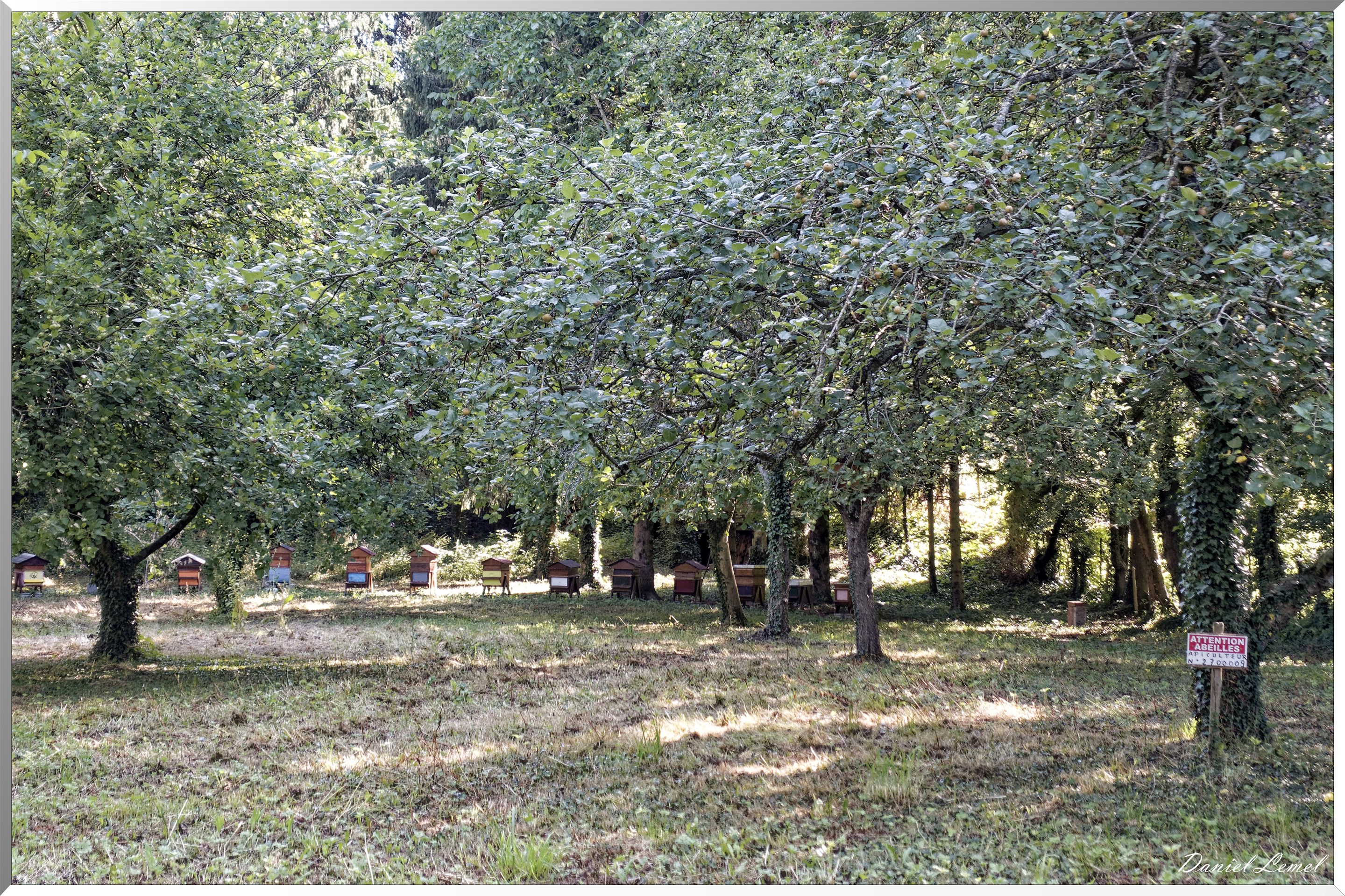 Pressagny l'Orgueilleux