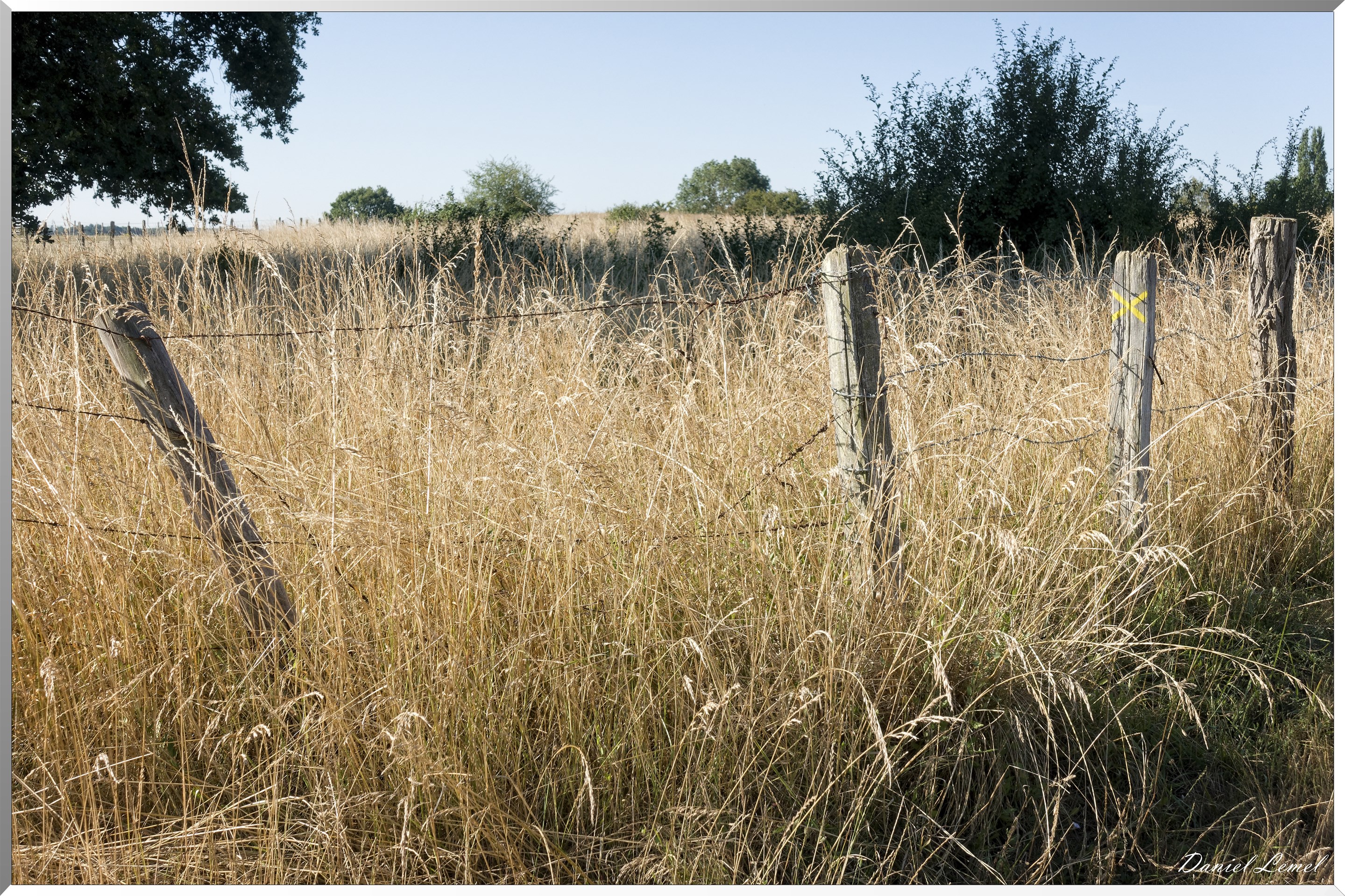 Saint-Pierre-de-Bailleul