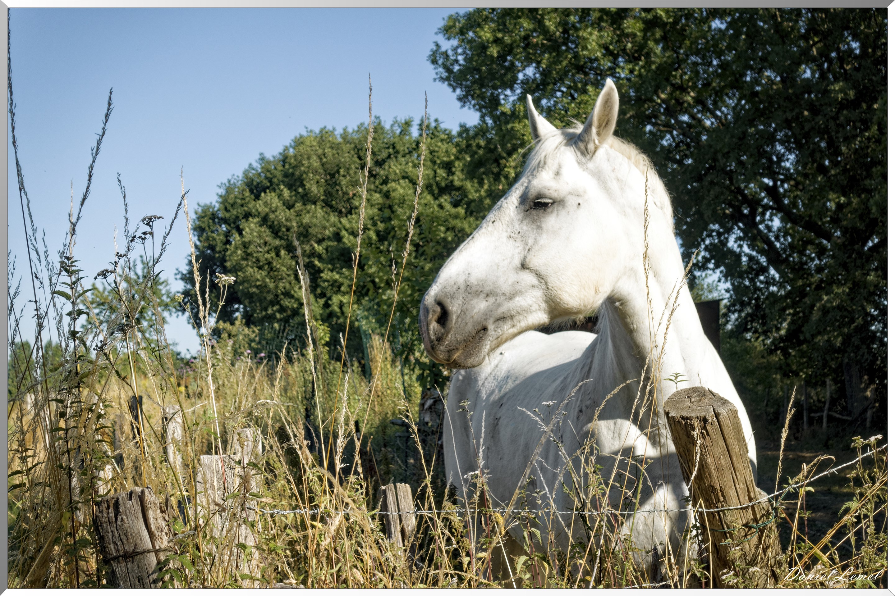 Saint-Pierre-de-Bailleul