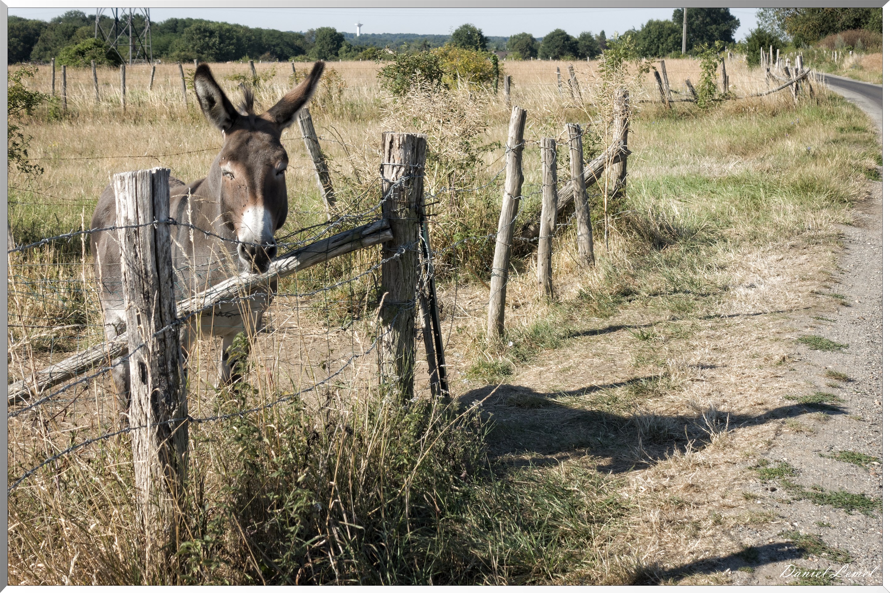 Saint-Pierre-de-Bailleul