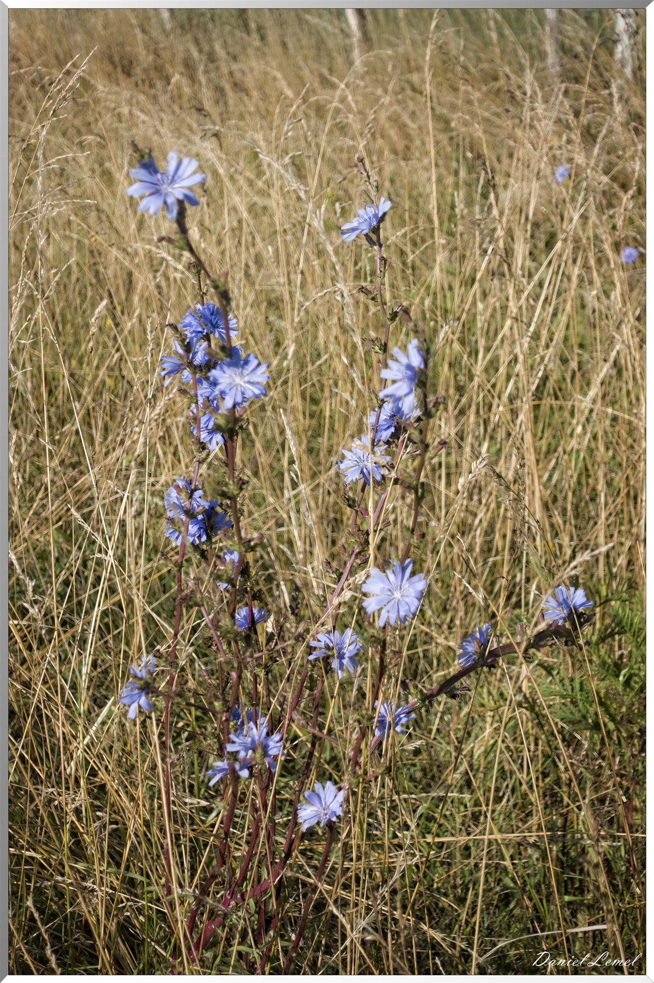 Saint-Pierre-de-Bailleul