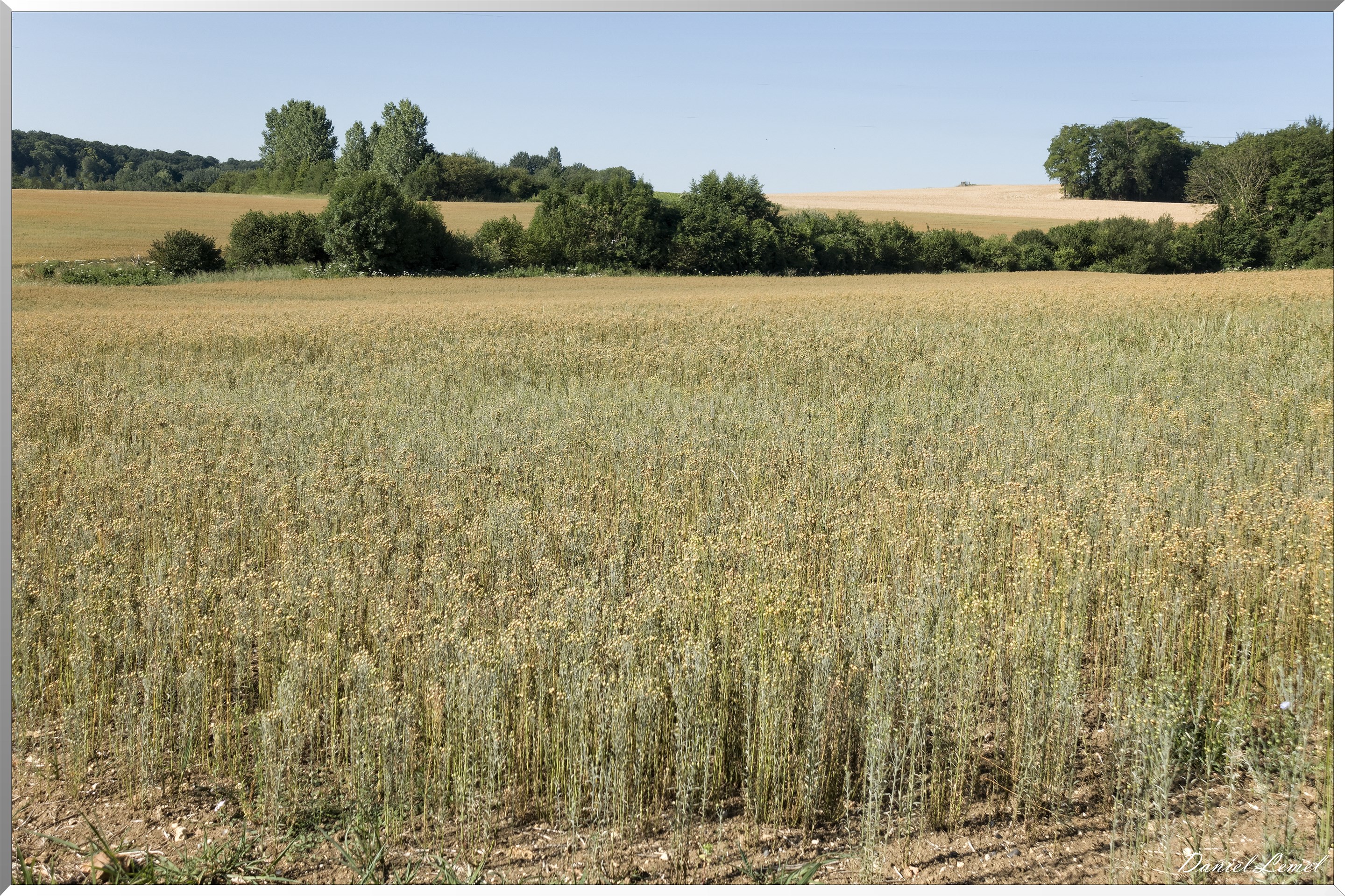 Saint-Pierre-de-Bailleul