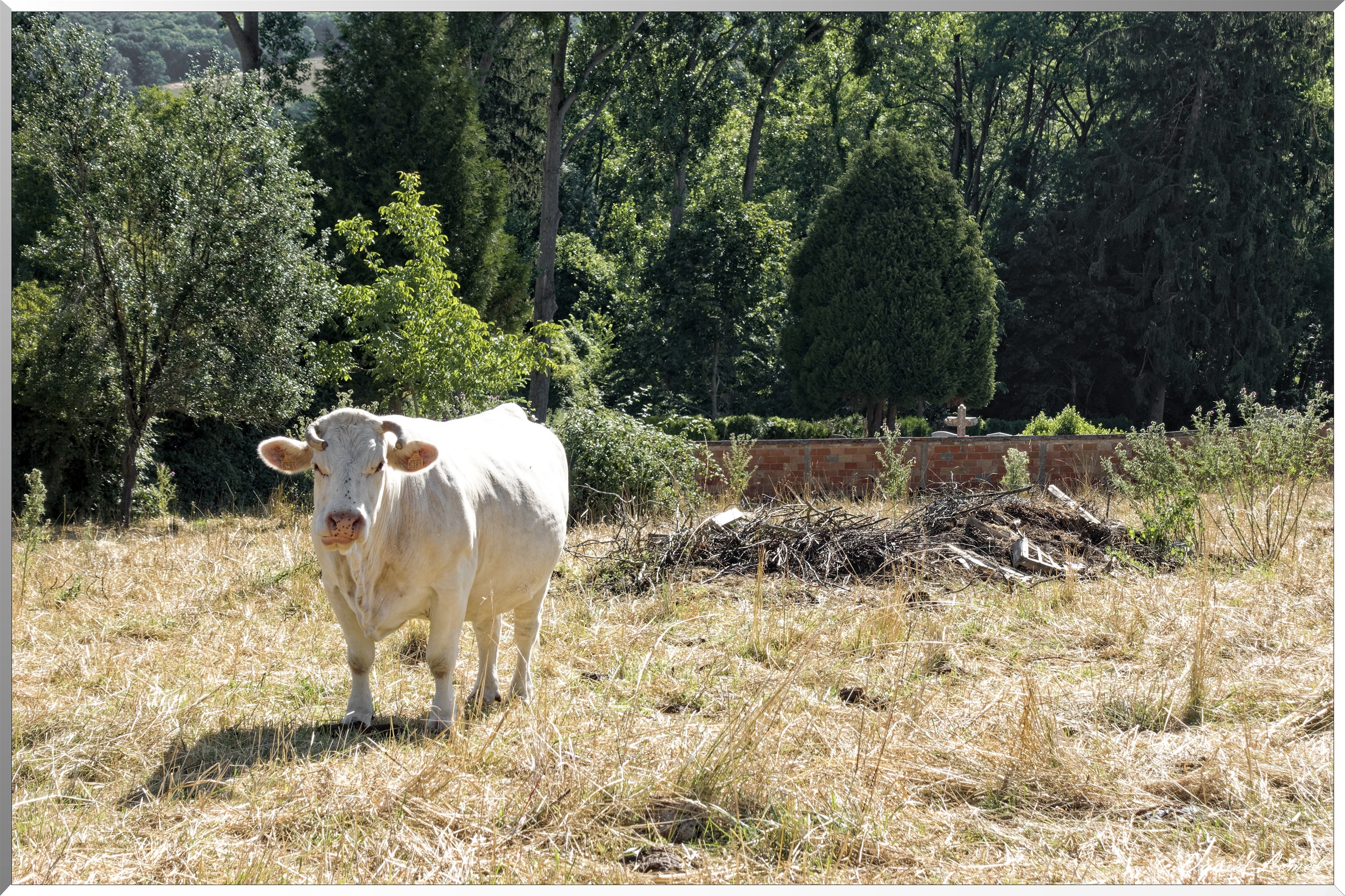 Saint-Pierre-de-Bailleul