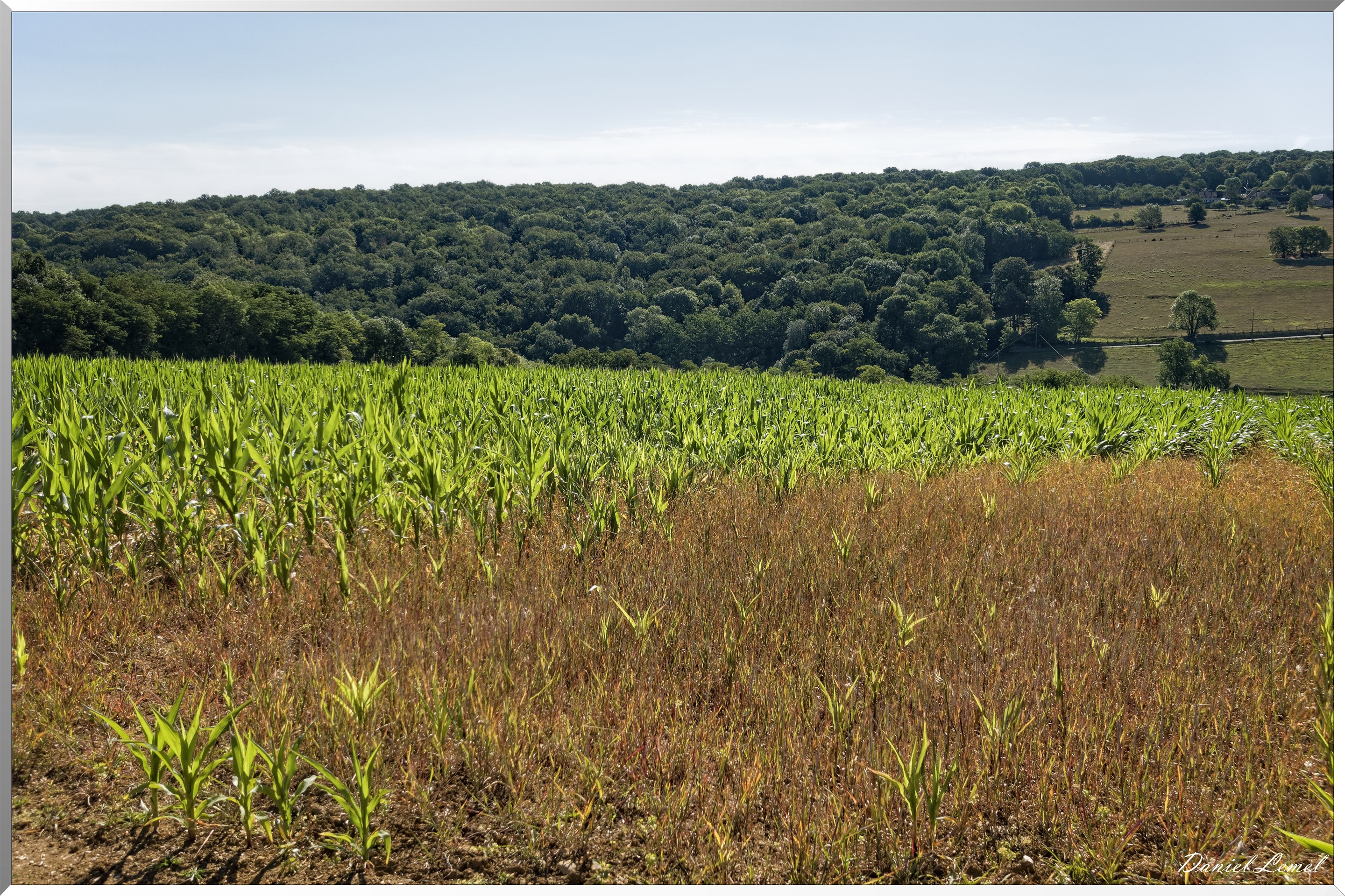 Saint-Pierre-de-Bailleul