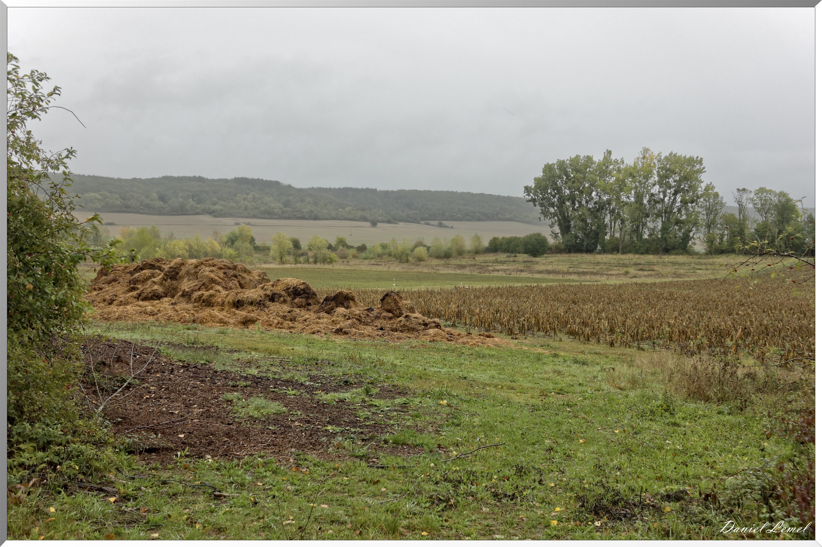 Notre-Dame-de-l'Isle