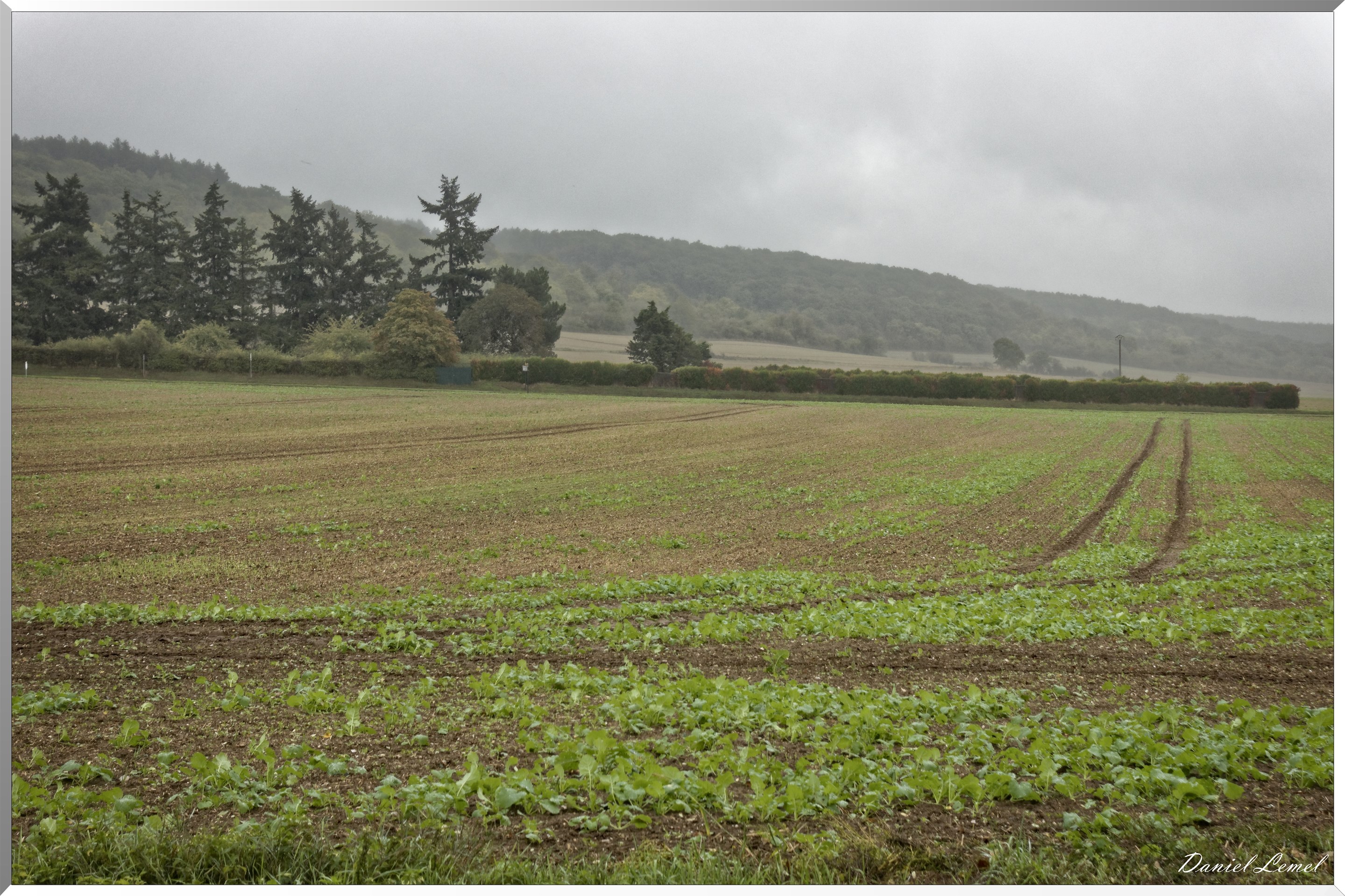 Notre-Dame-de-l'Isle