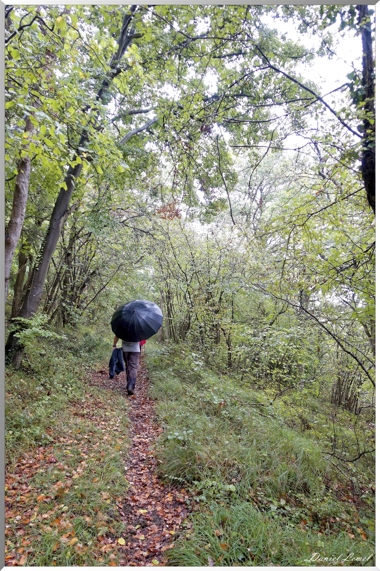 Notre-Dame-de-l'Isle