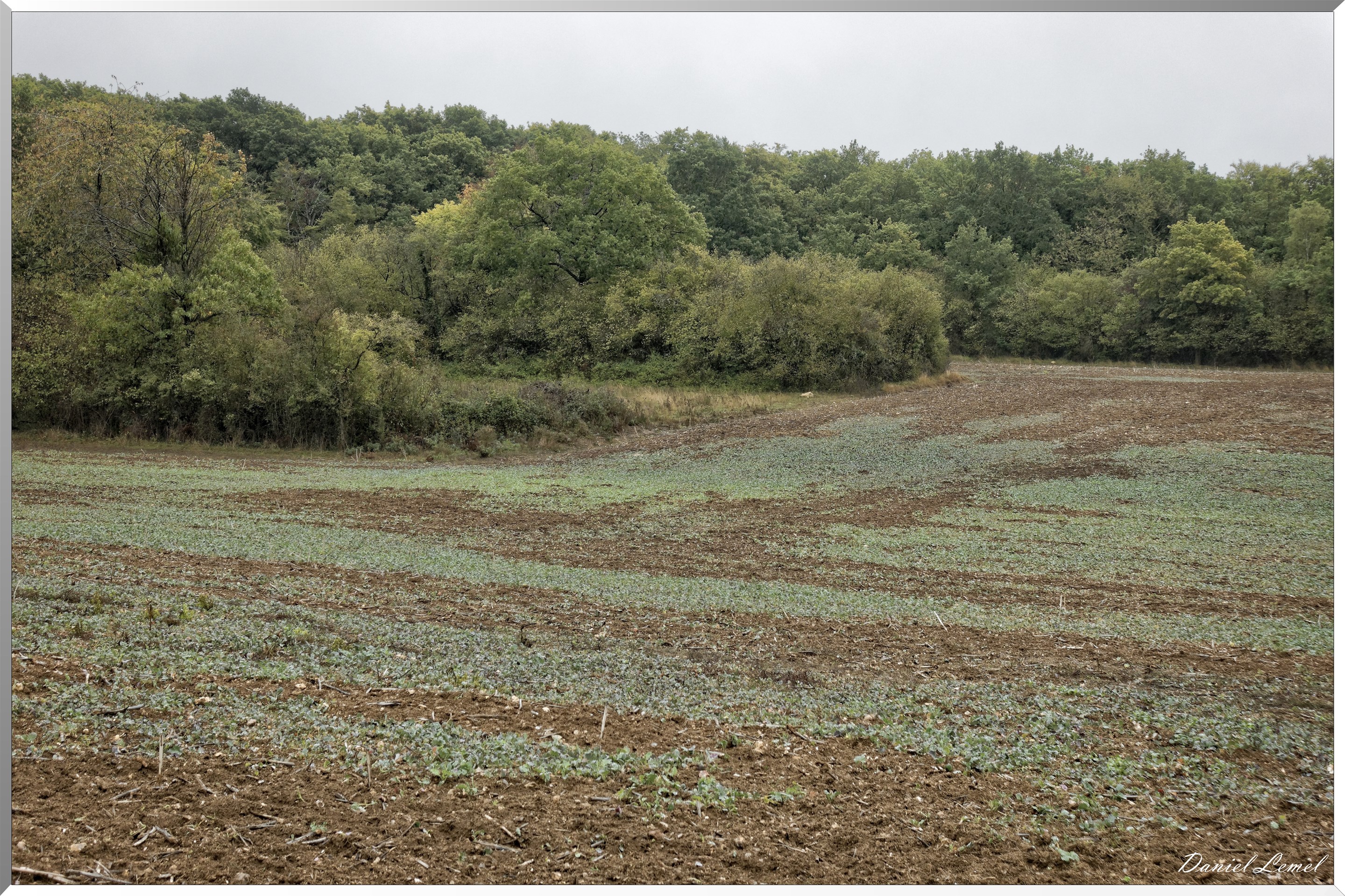 Notre-Dame-de-l'Isle