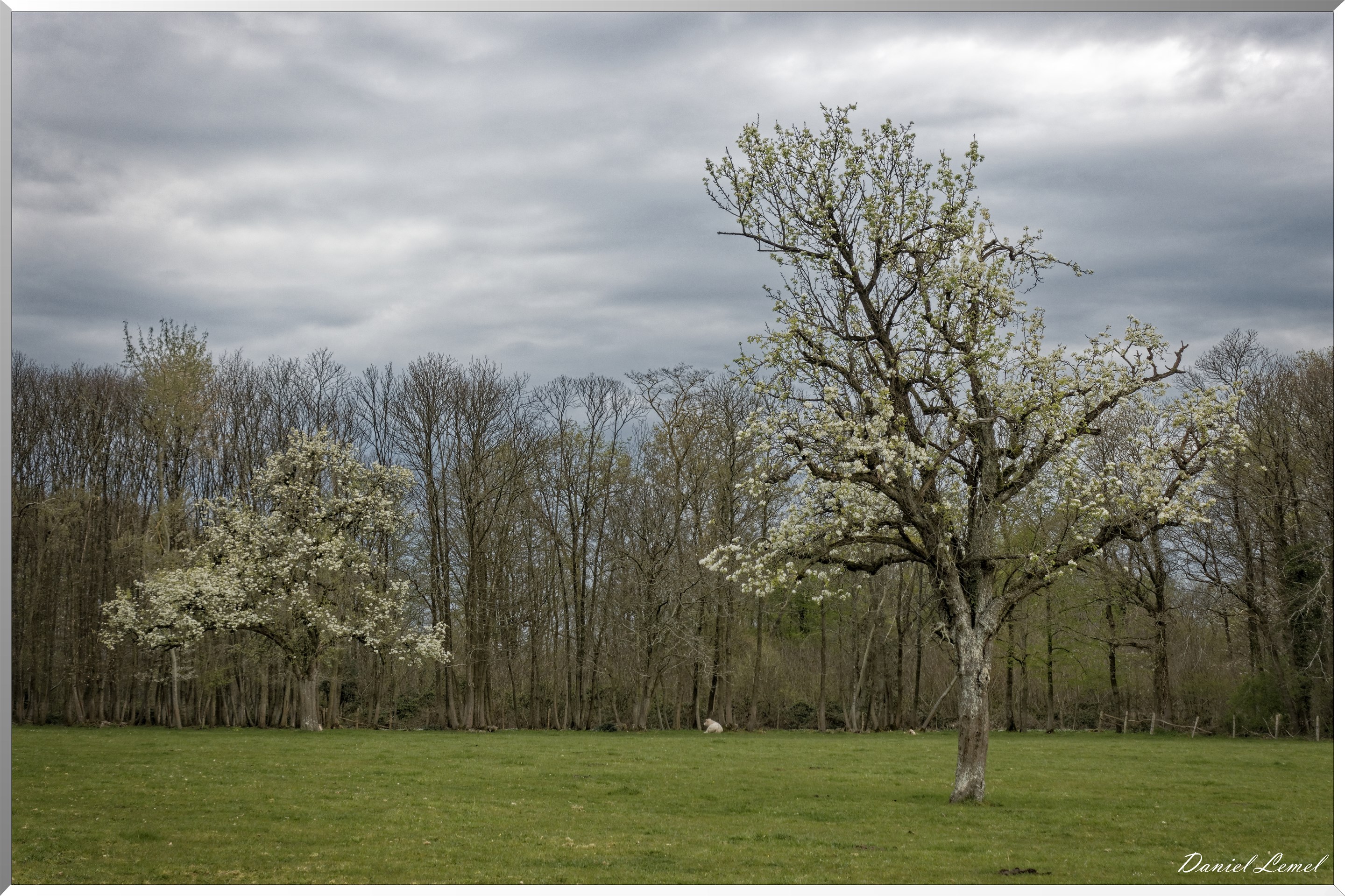 Saint-Pierre-de-Bailleul