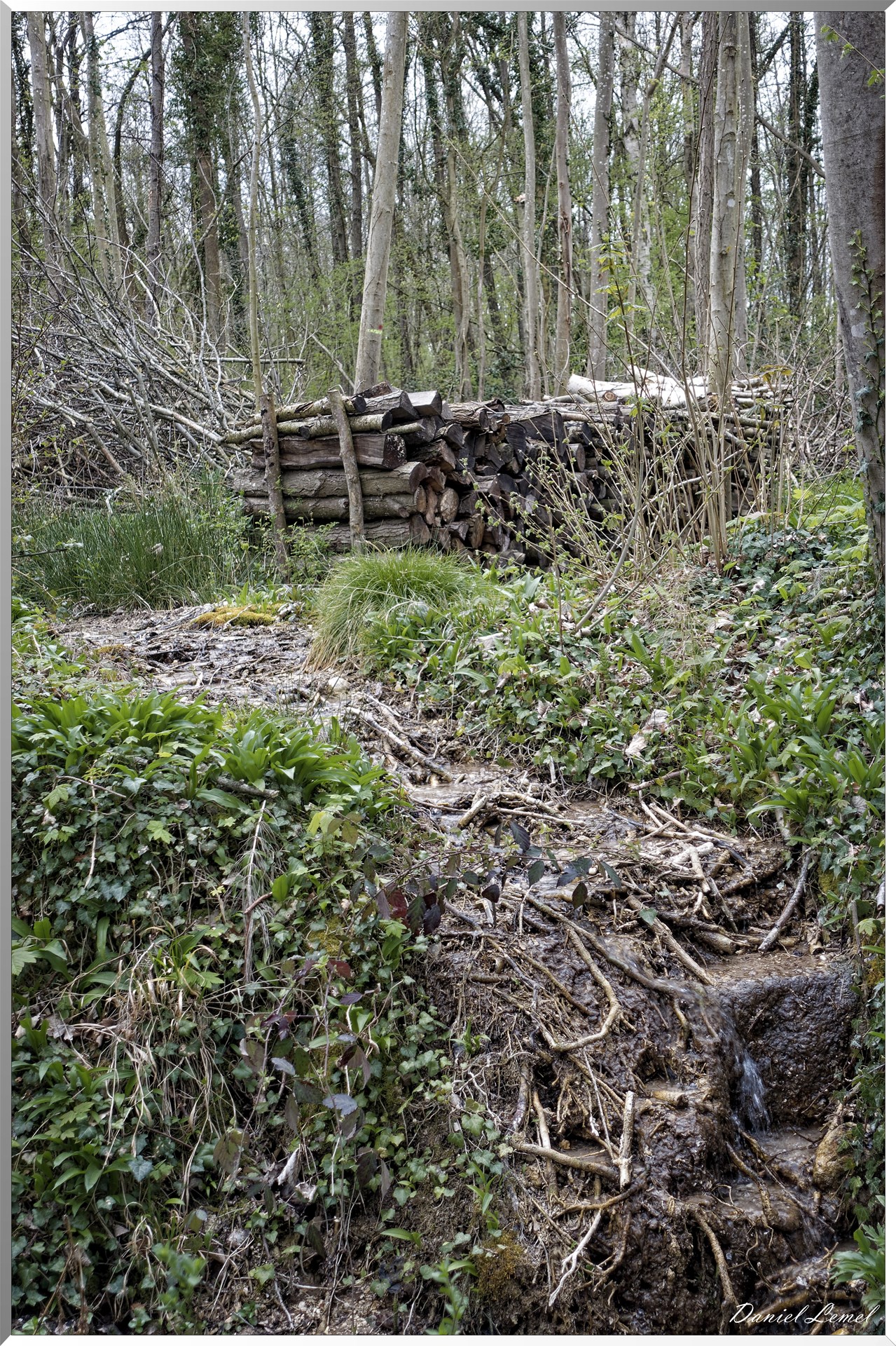 Saint-Pierre-de-Bailleul