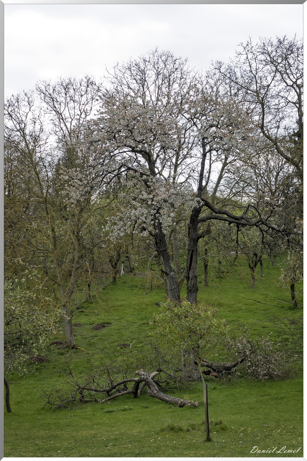 Saint-Pierre-de-Bailleul