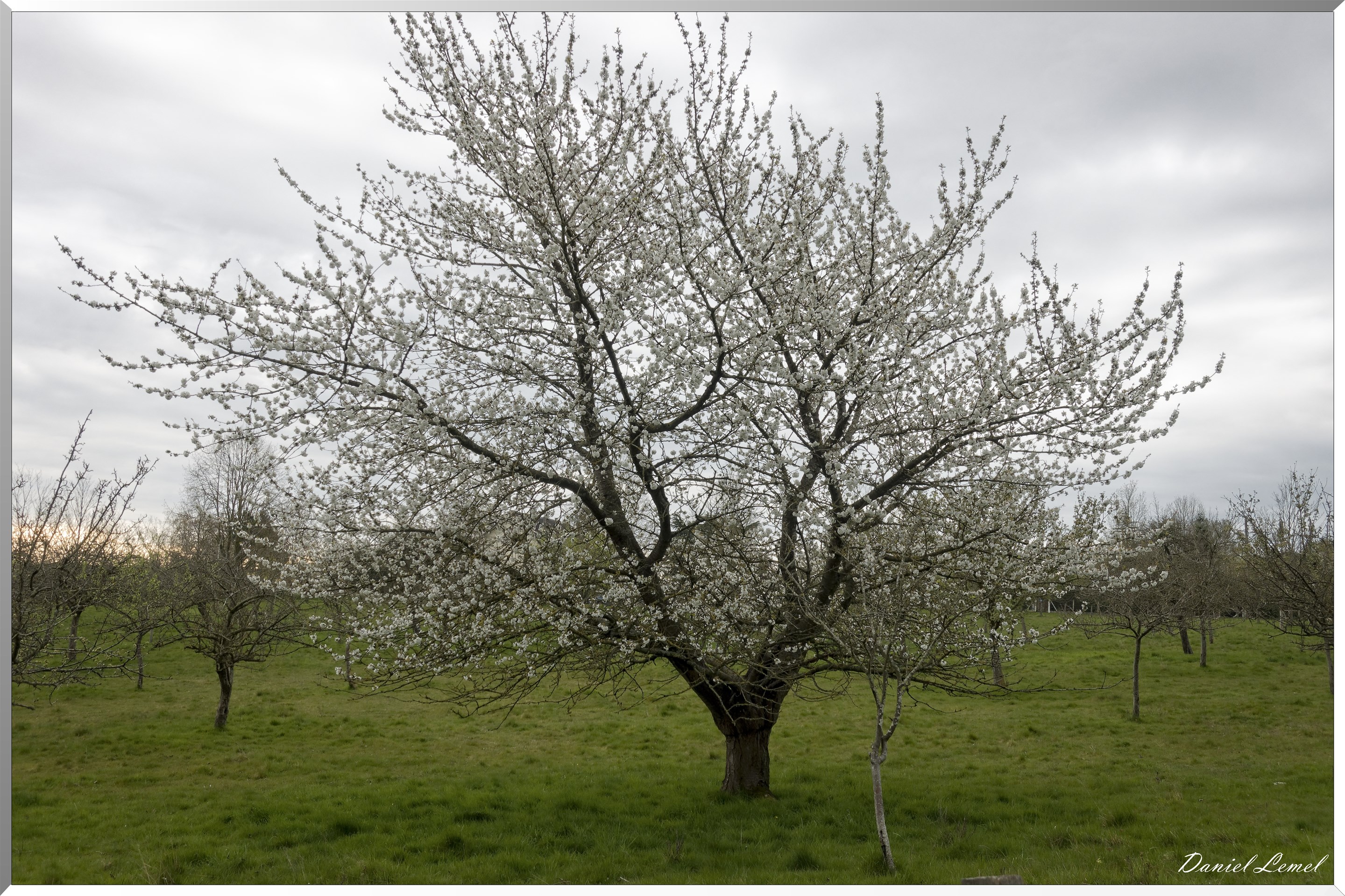 Saint-Pierre-de-Bailleul