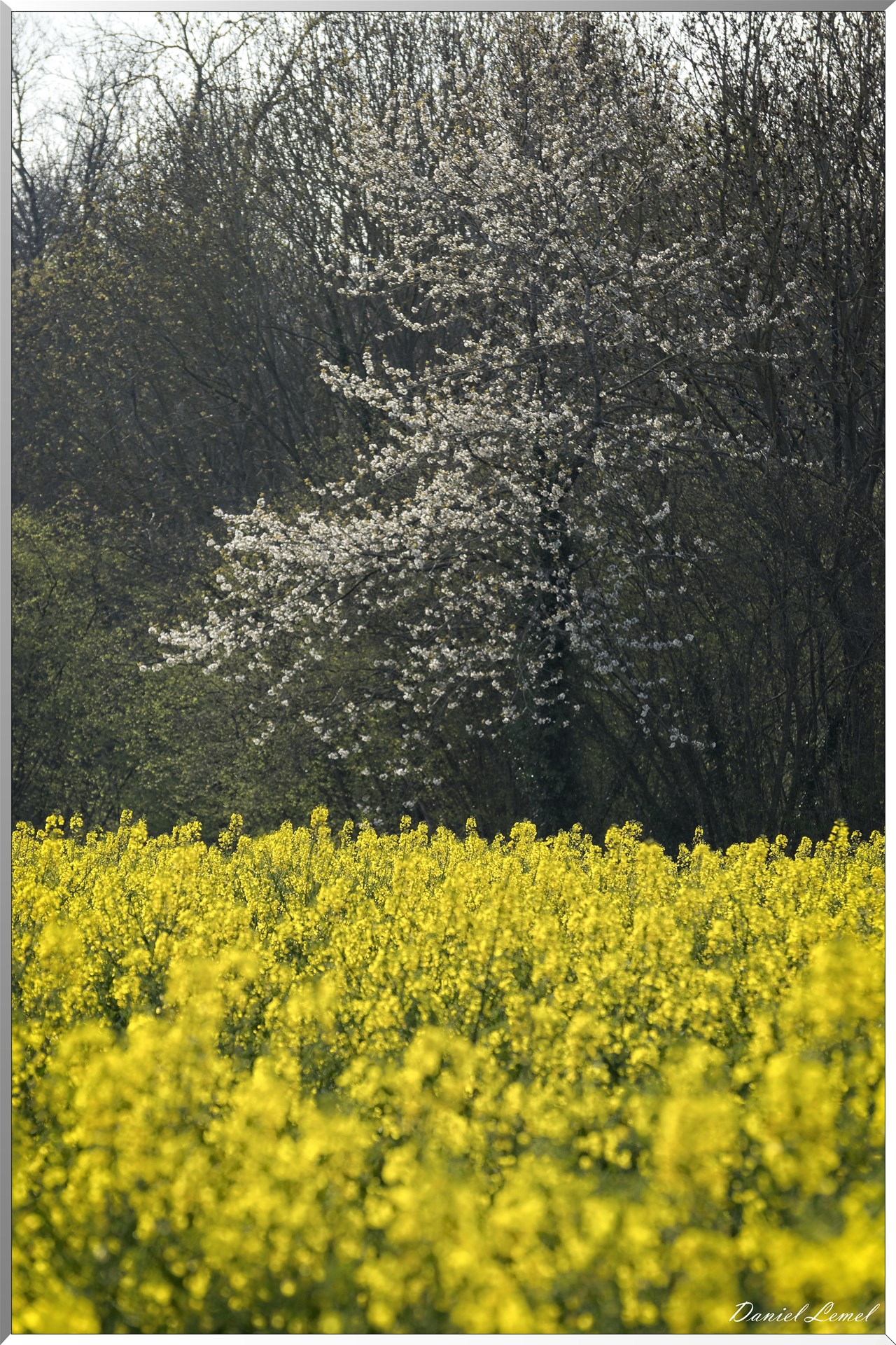 Saint-Pierre-de-Bailleul