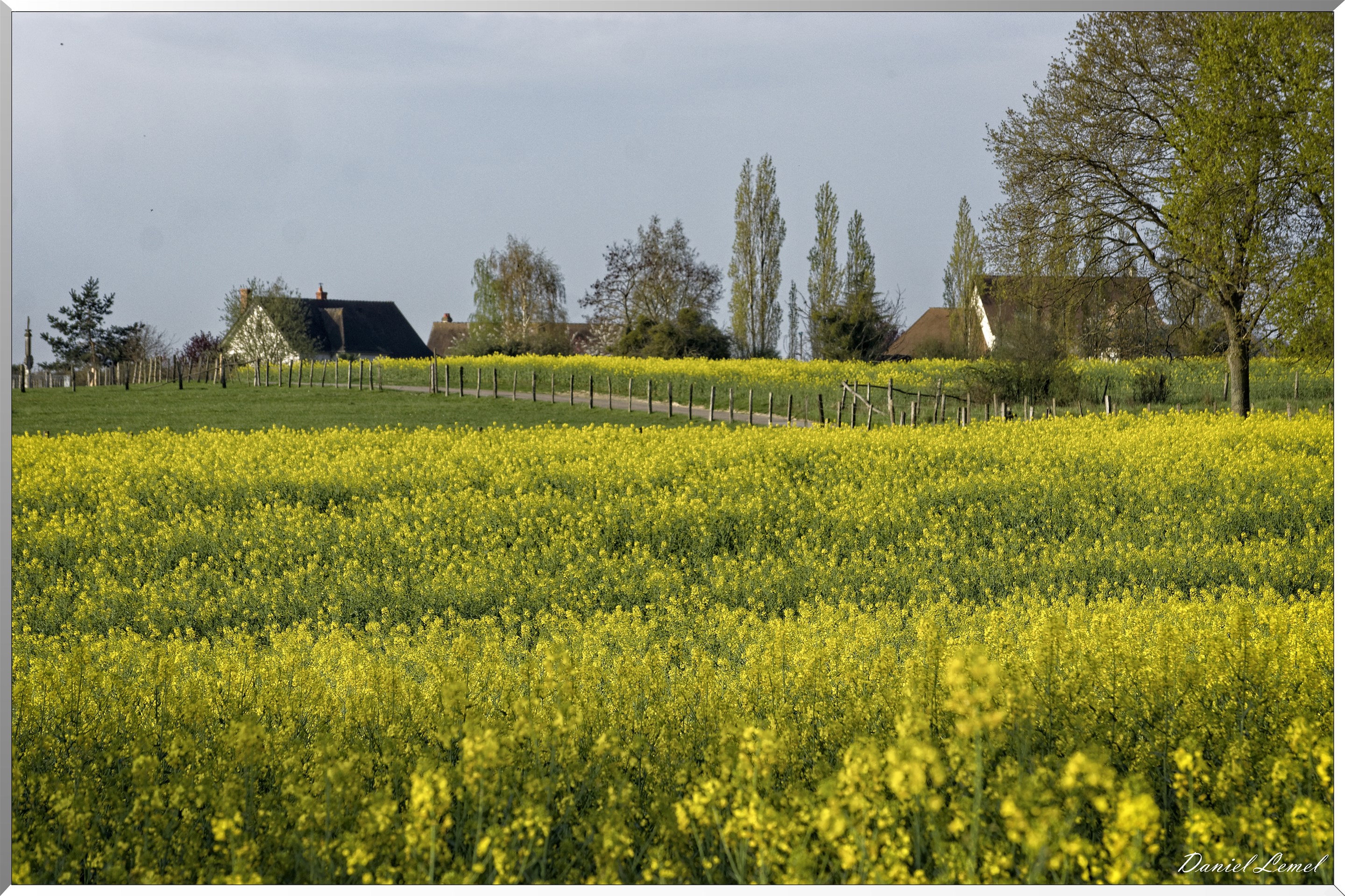 Saint-Pierre-de-Bailleul