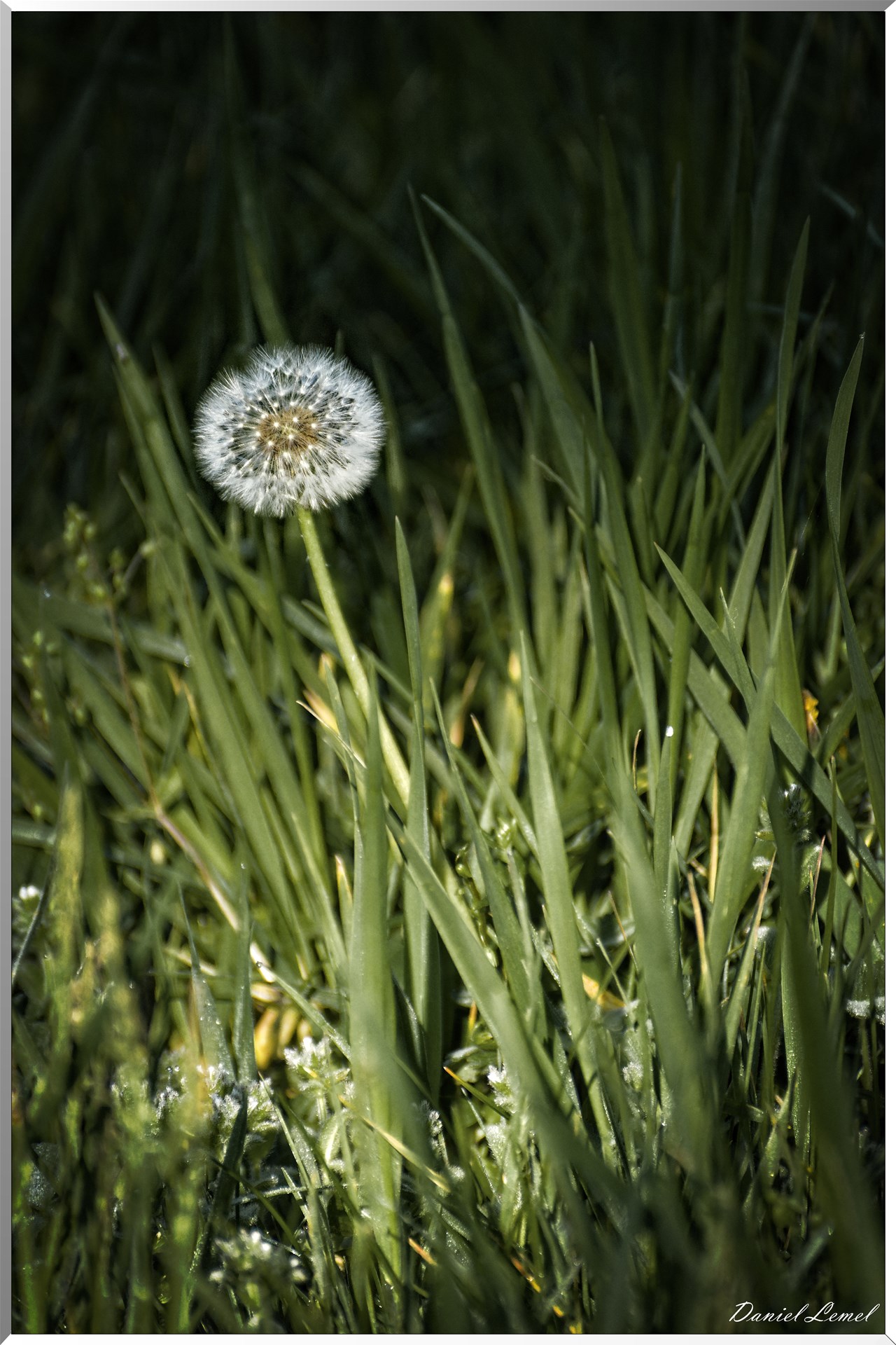 Saint-Pierre-de-Bailleul