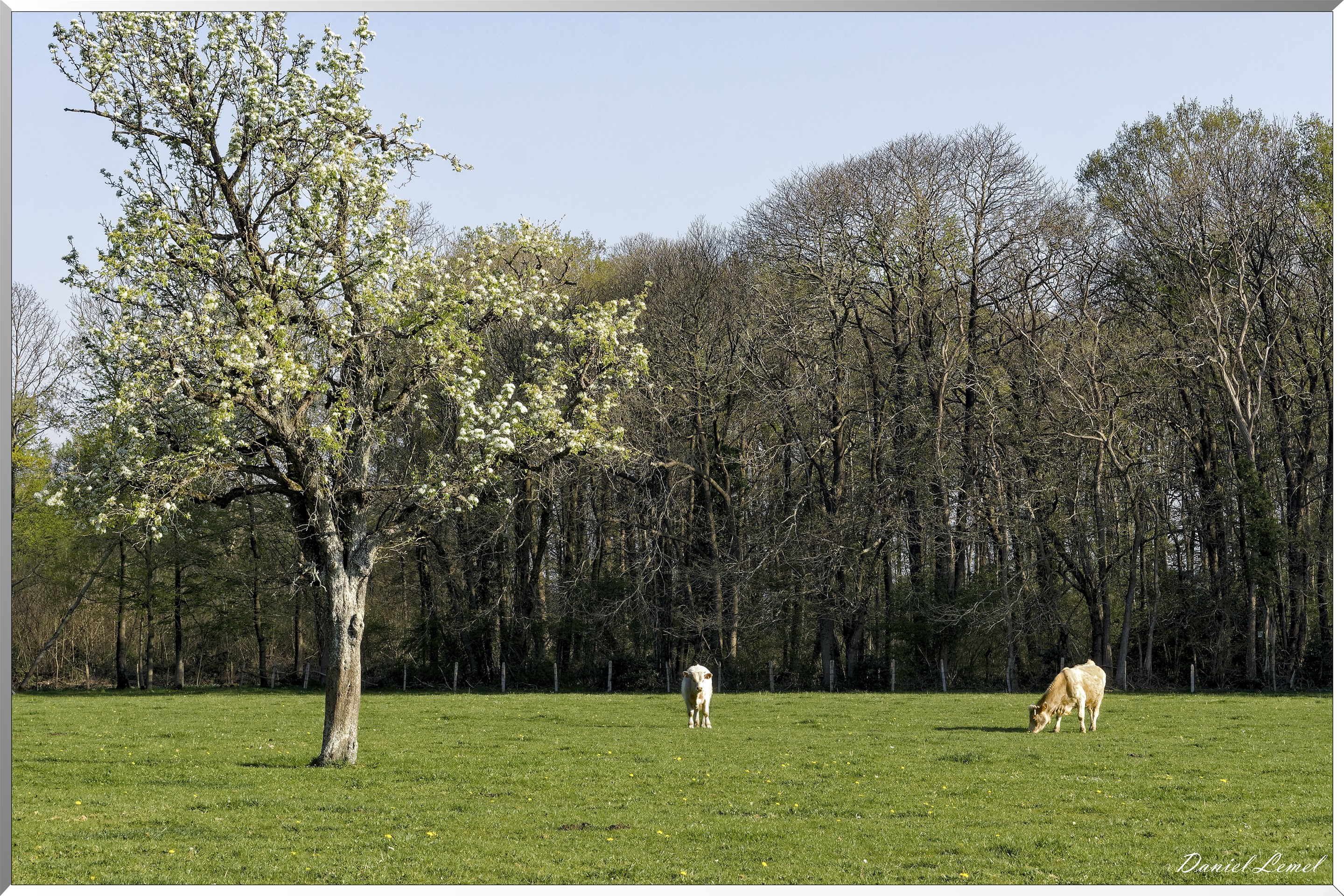 Saint-Pierre-de-Bailleul