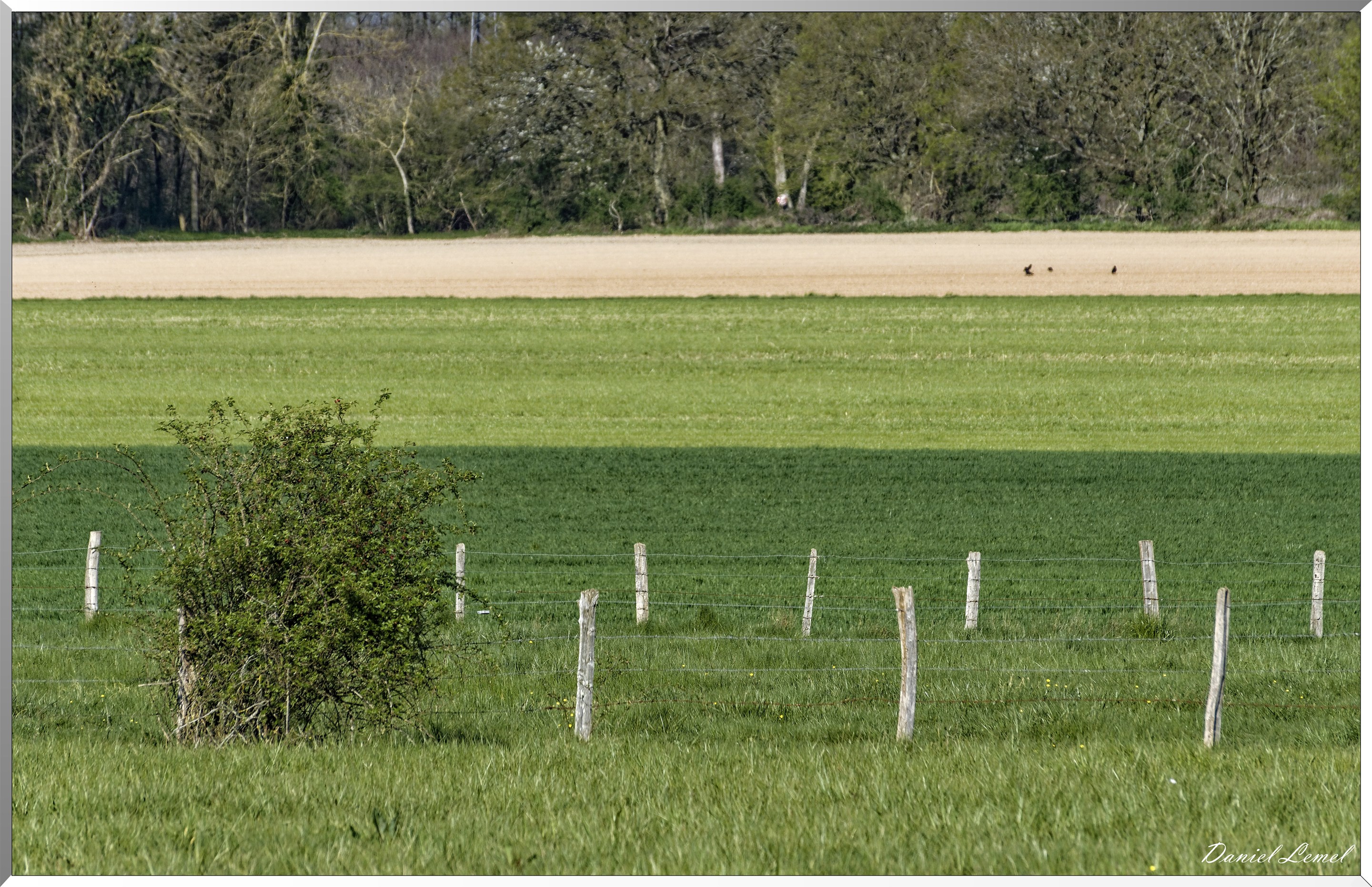 Saint-Pierre-de-Bailleul
