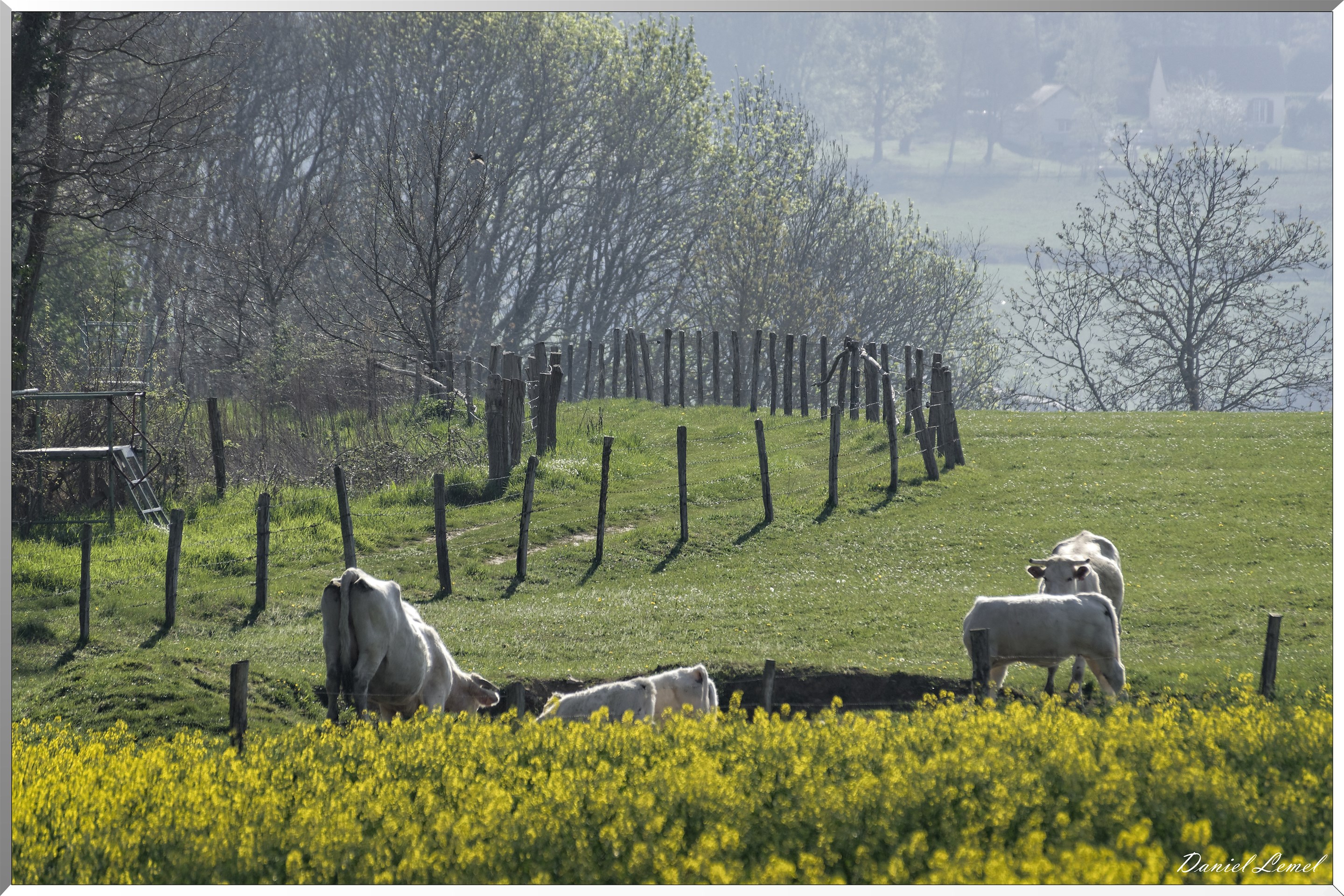 Saint-Pierre-de-Bailleul