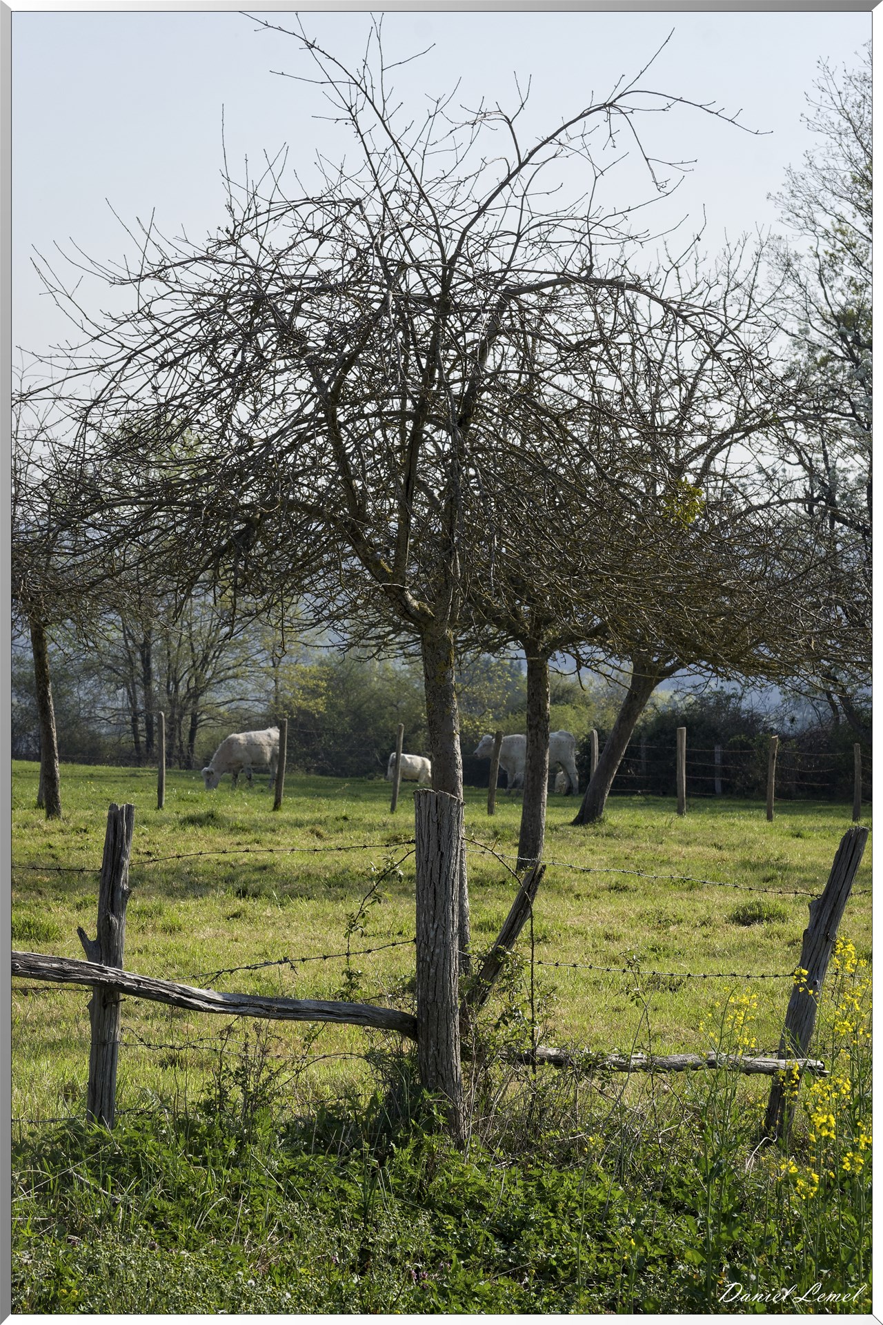 Saint-Pierre-de-Bailleul