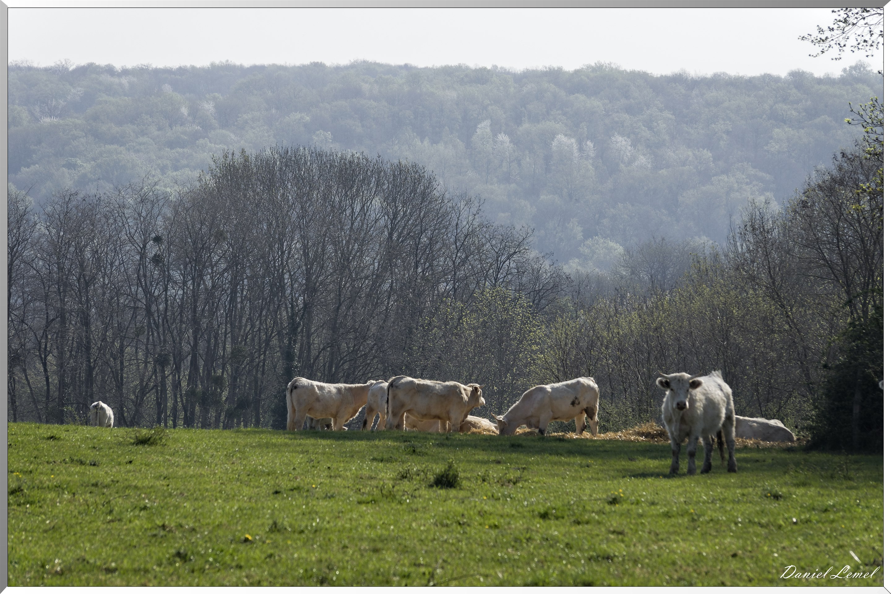 Saint-Pierre-de-Bailleul