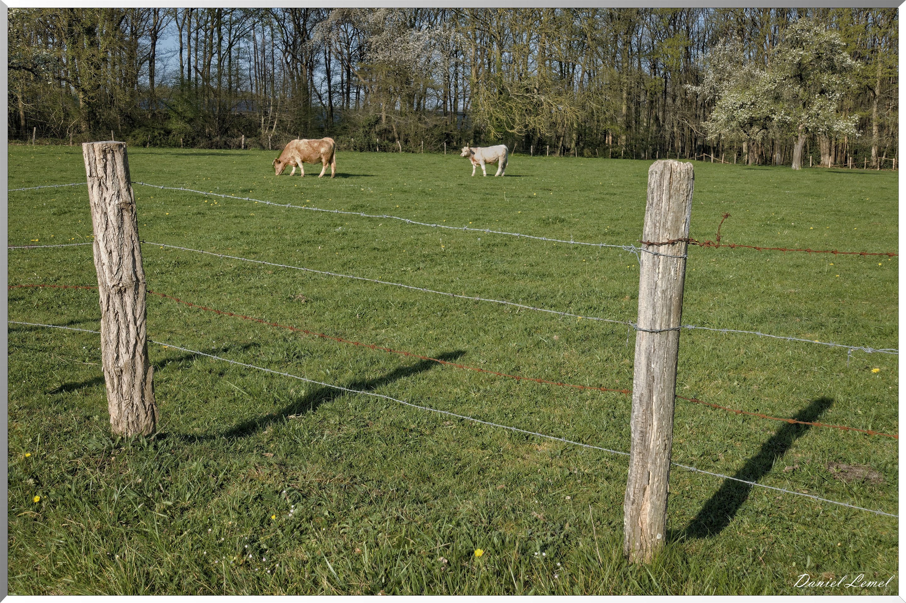 Saint-Pierre-de-Bailleul