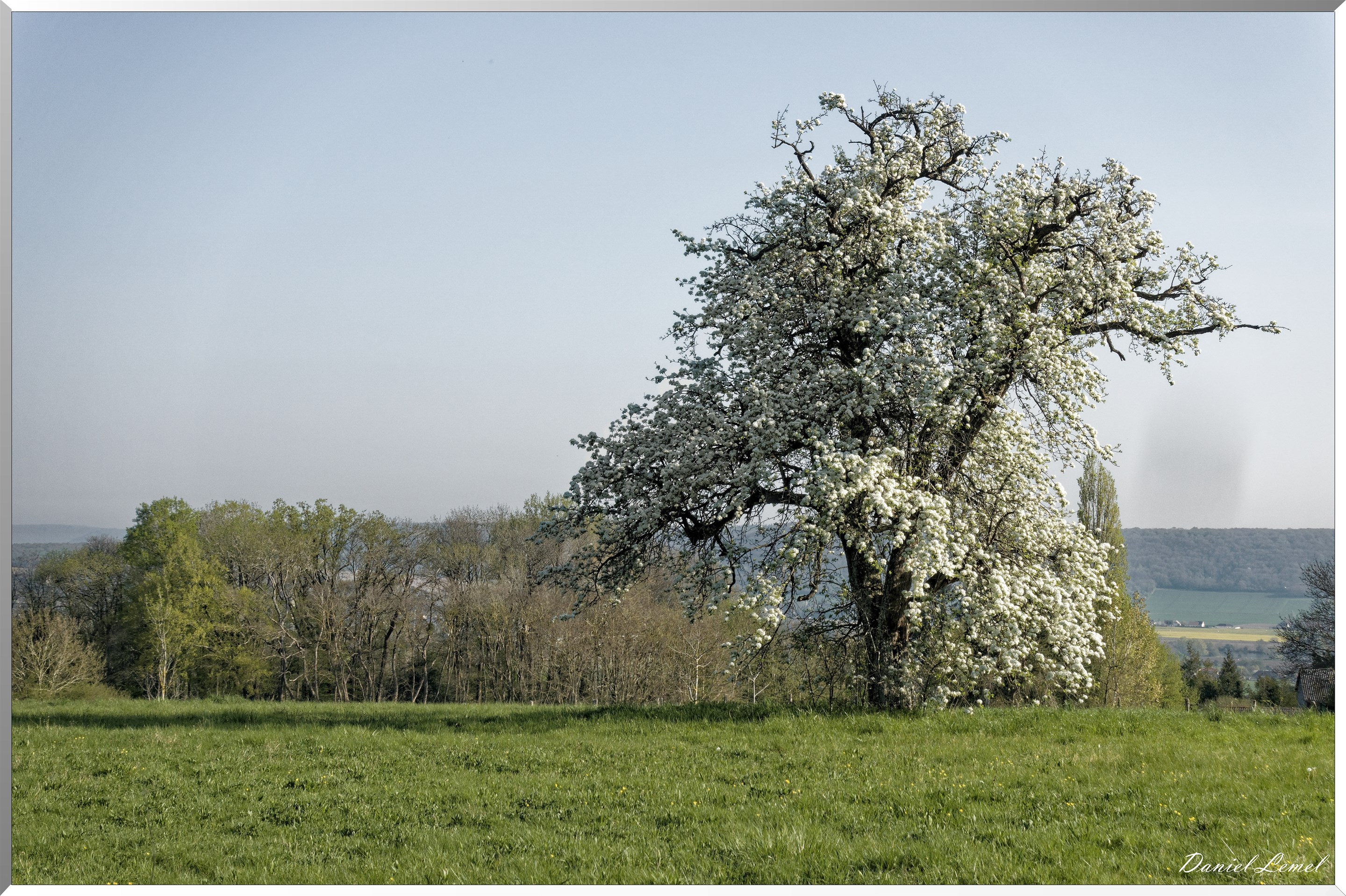 Saint-Pierre-de-Bailleul