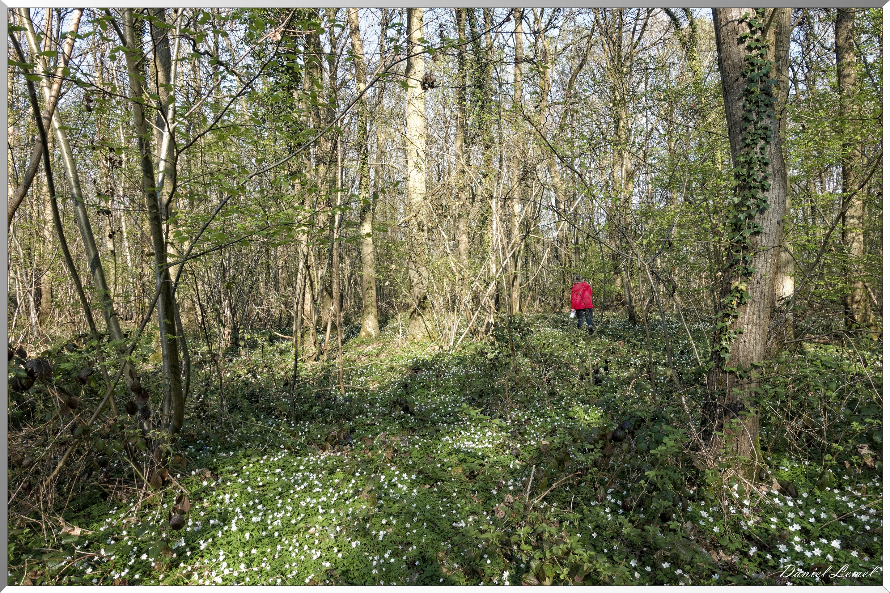 Saint-Pierre-de-Bailleul