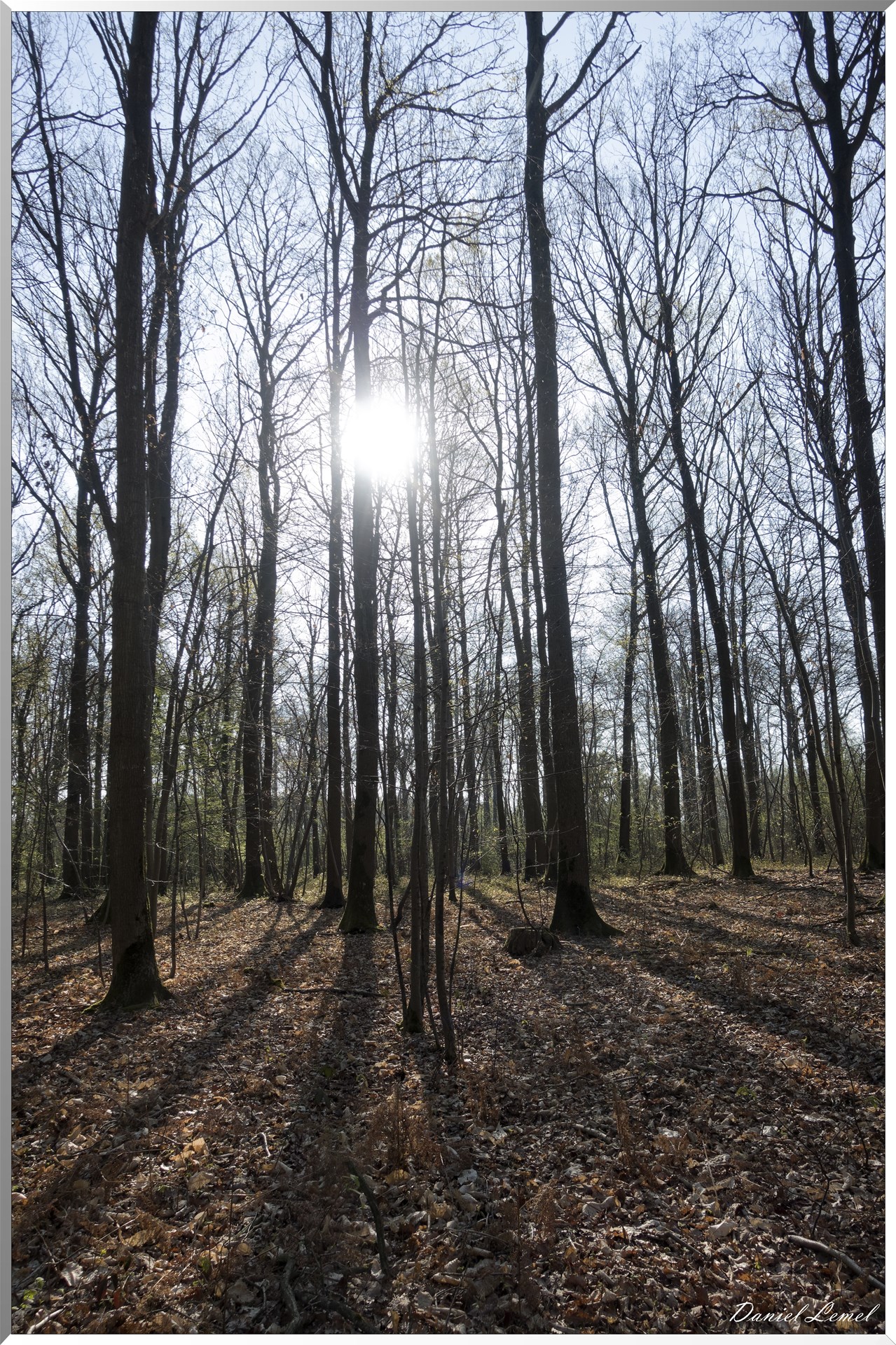 Saint-Pierre-de-Bailleul