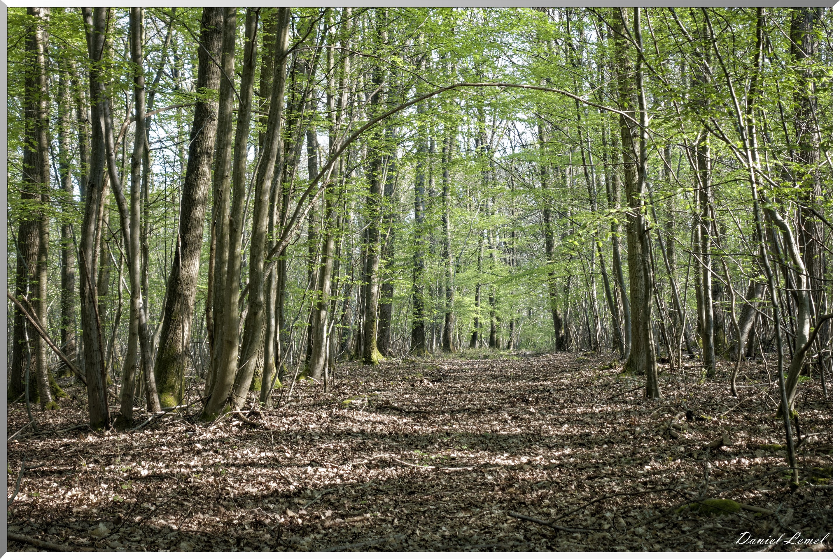 Saint-Pierre-de-Bailleul