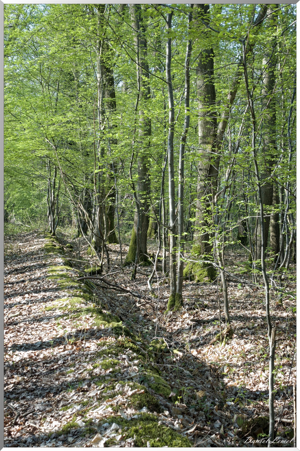 Saint-Pierre-de-Bailleul