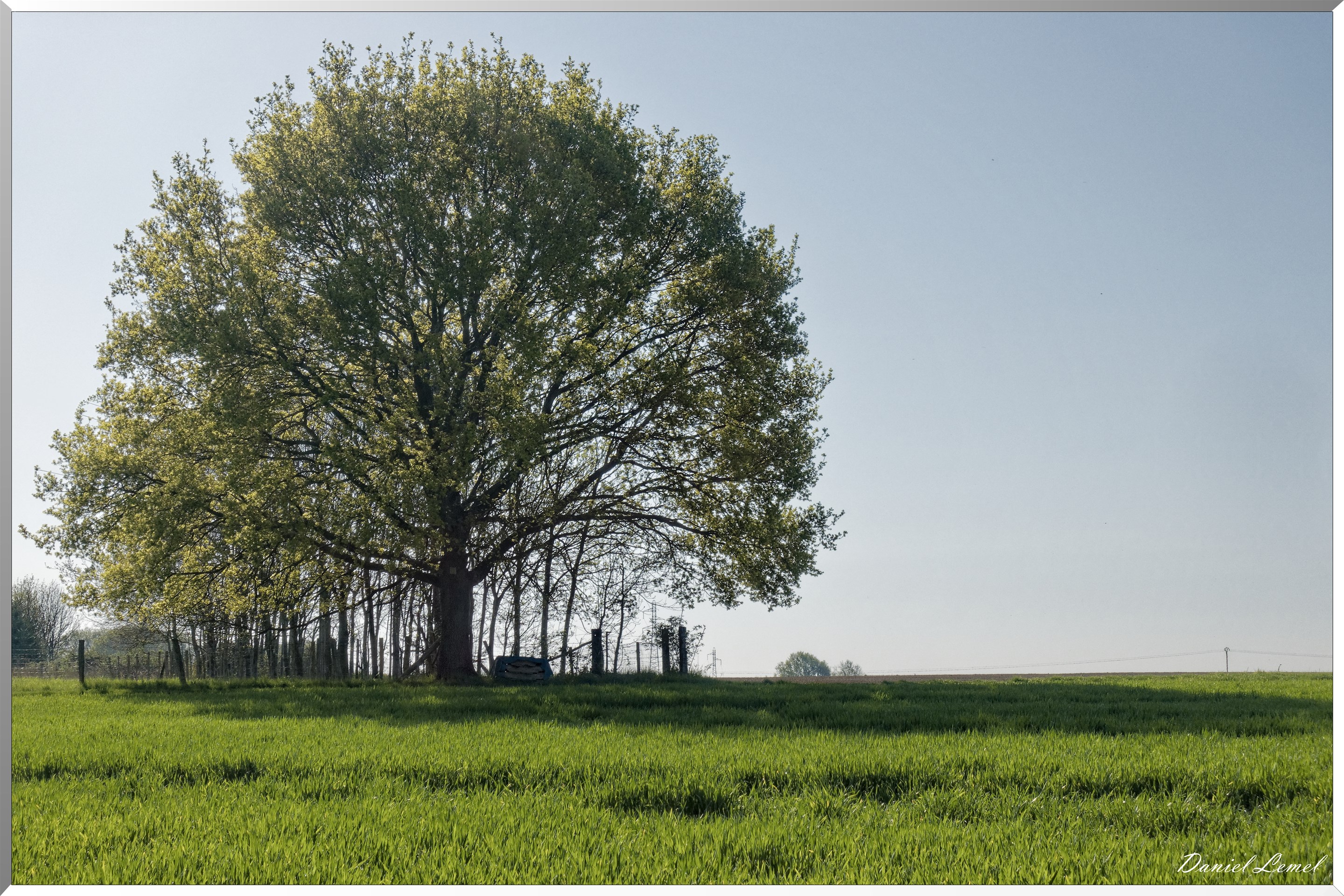 Saint-Pierre-de-Bailleul