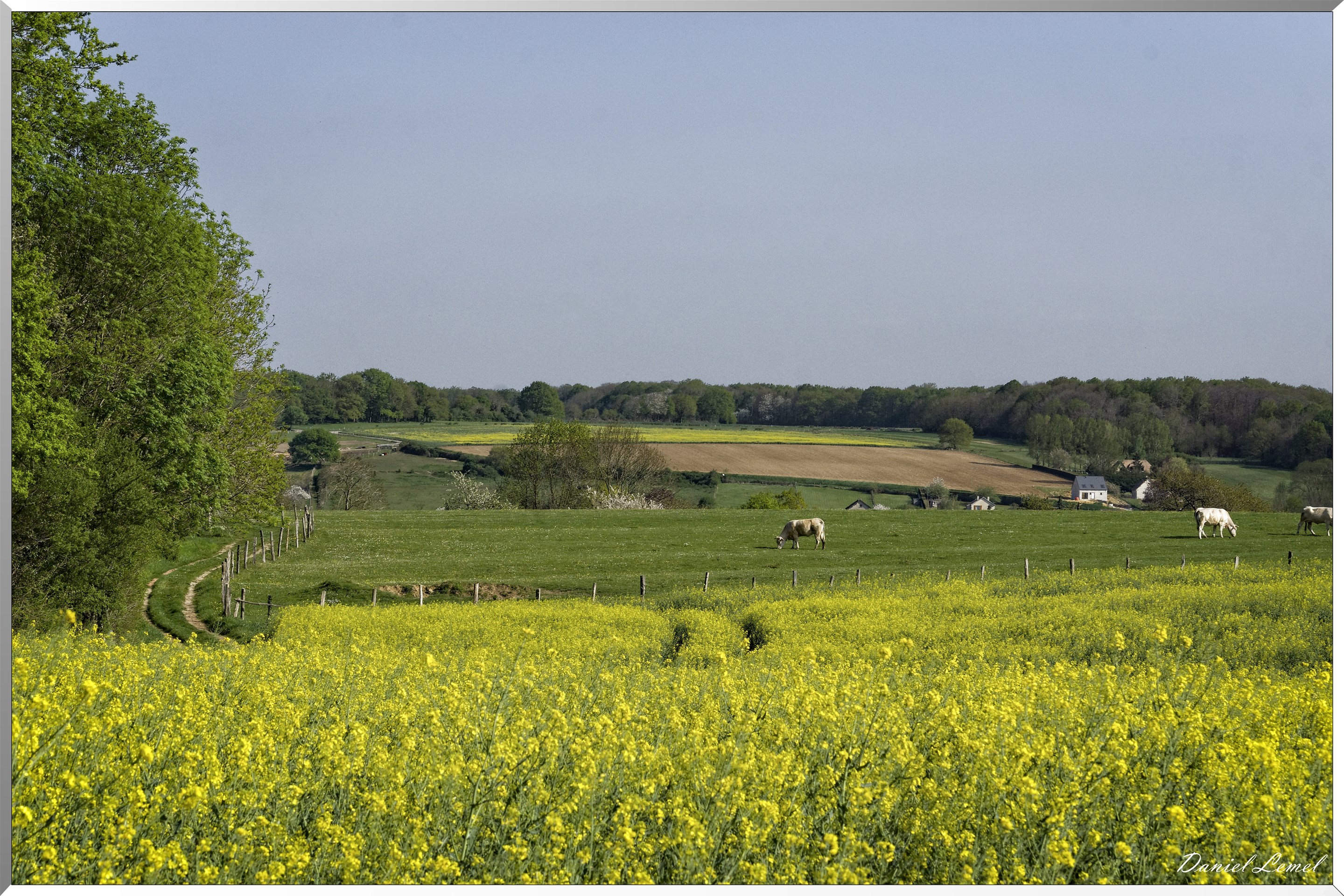 Saint-Pierre-de-Bailleul