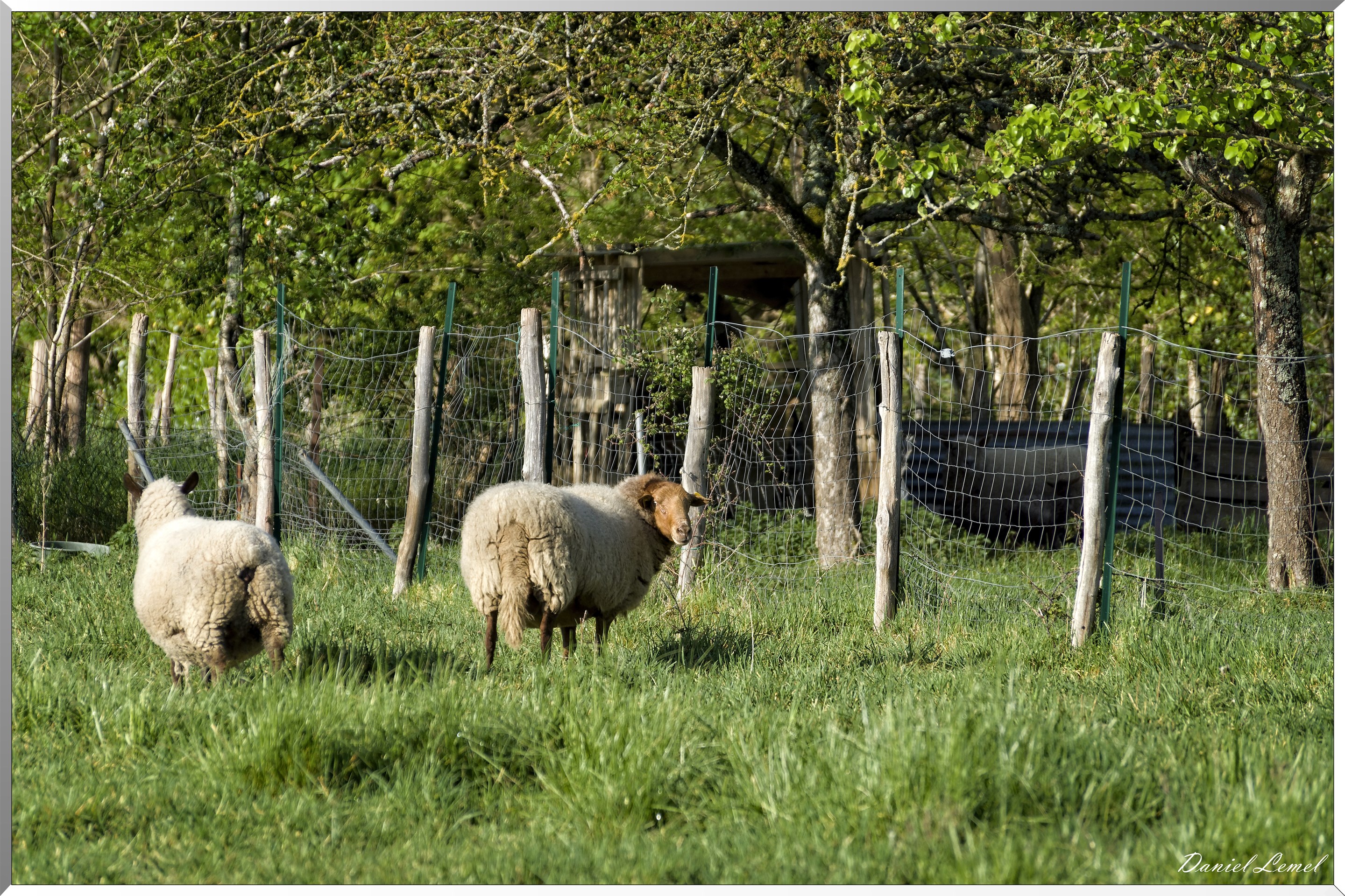 Saint-Pierre-de-Bailleul