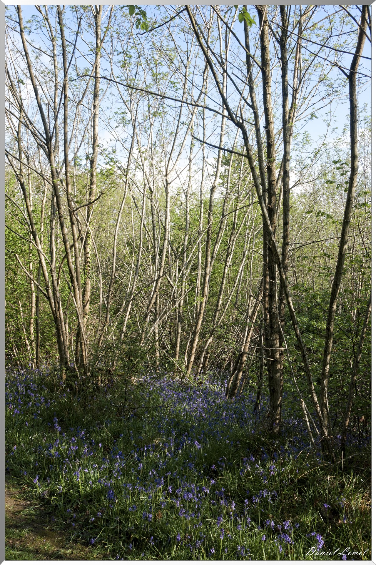 Saint-Pierre-de-Bailleul