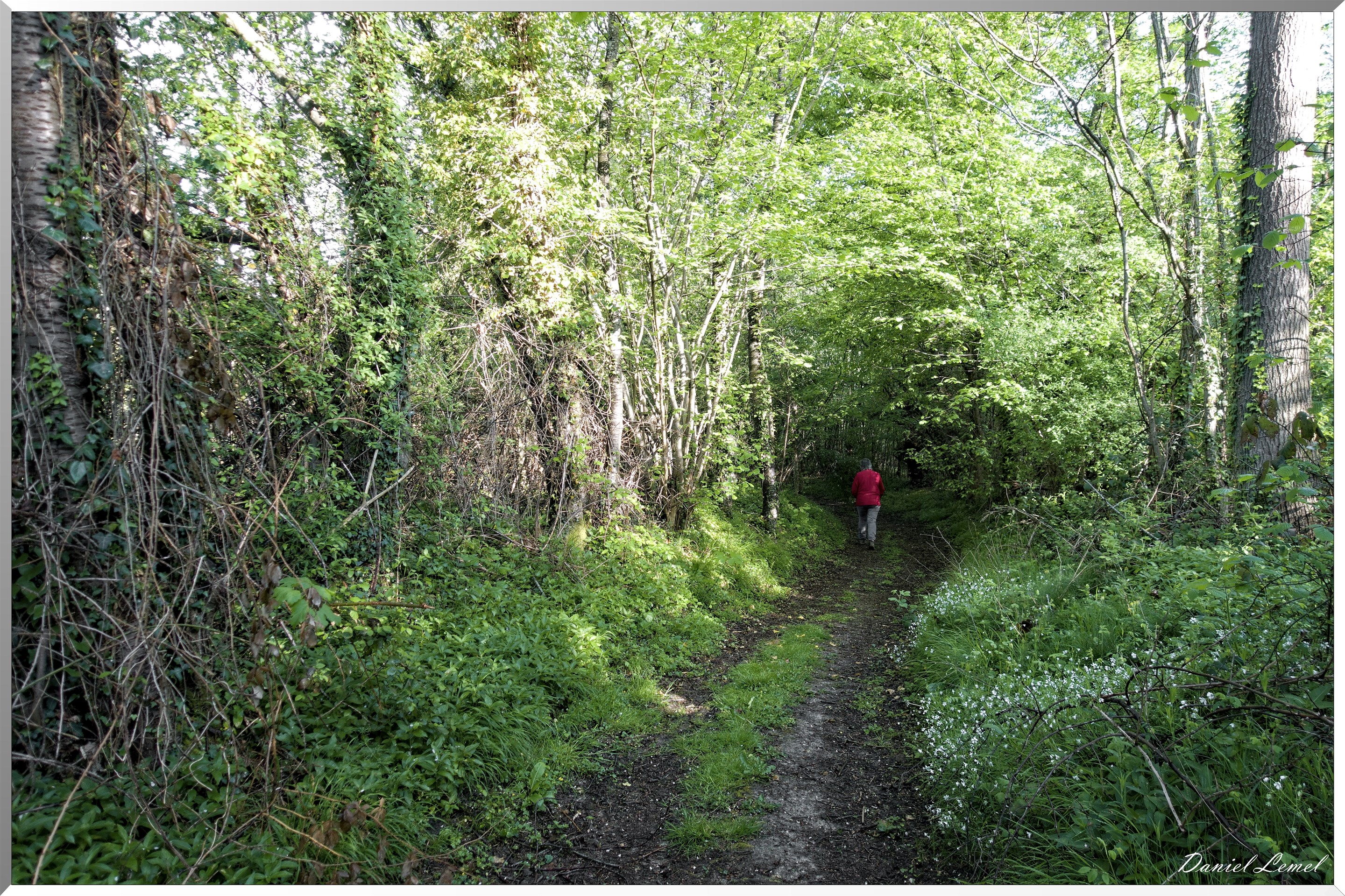 Saint-Pierre-de-Bailleul