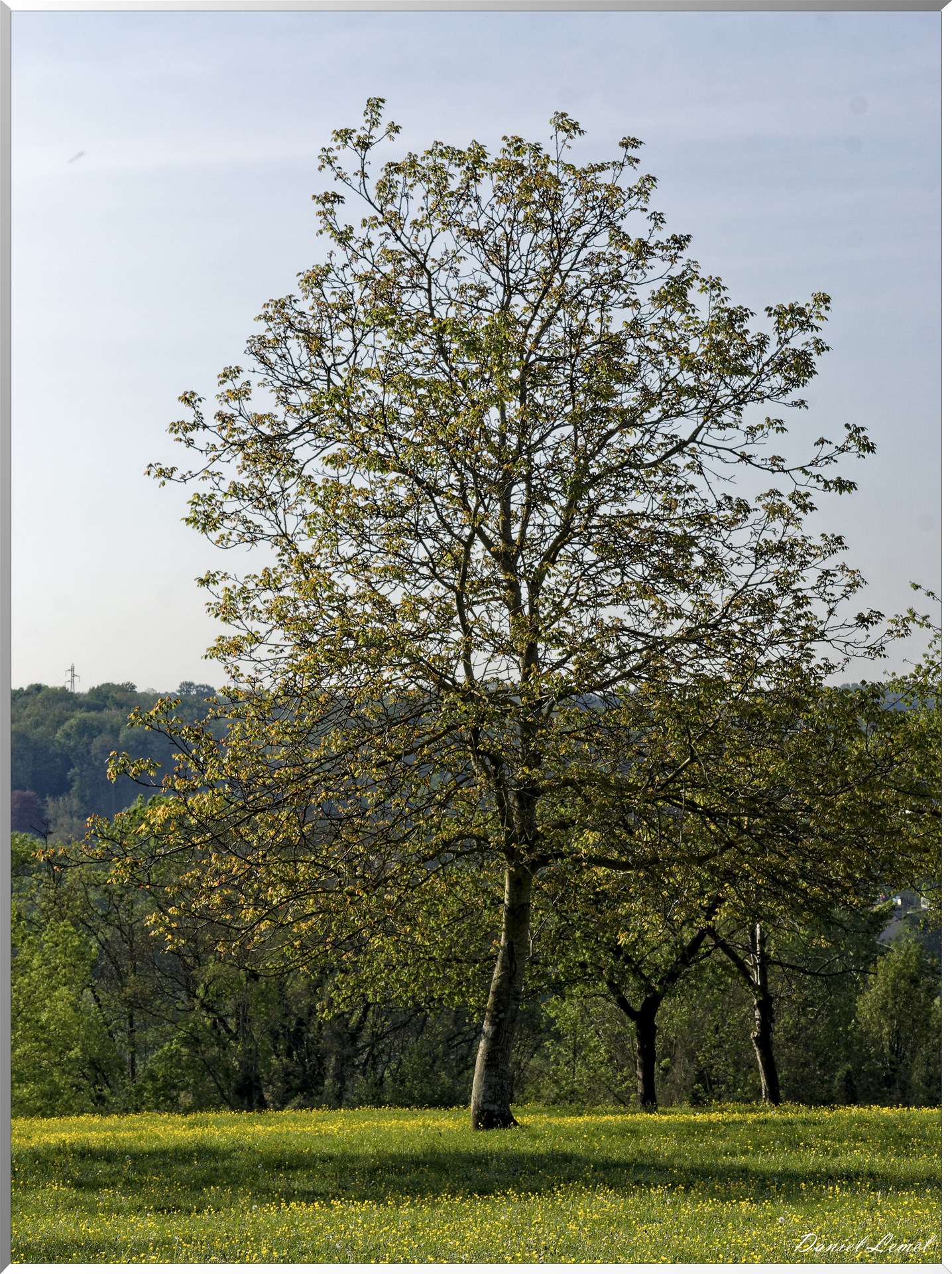 Saint-Pierre-de-Bailleul