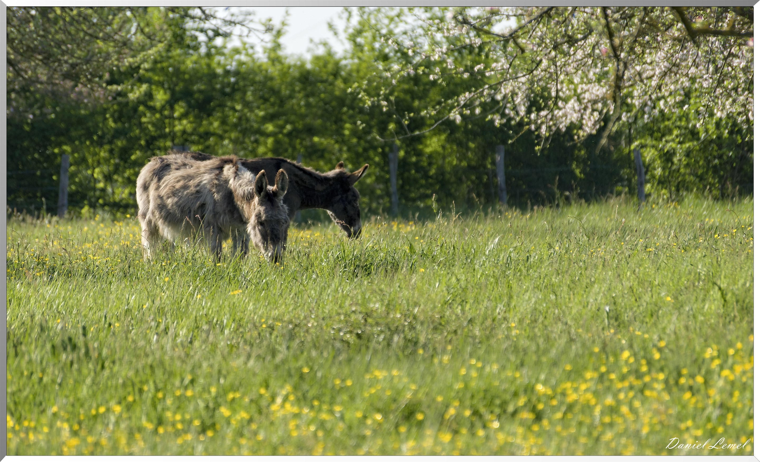 Saint-Pierre-de-Bailleul