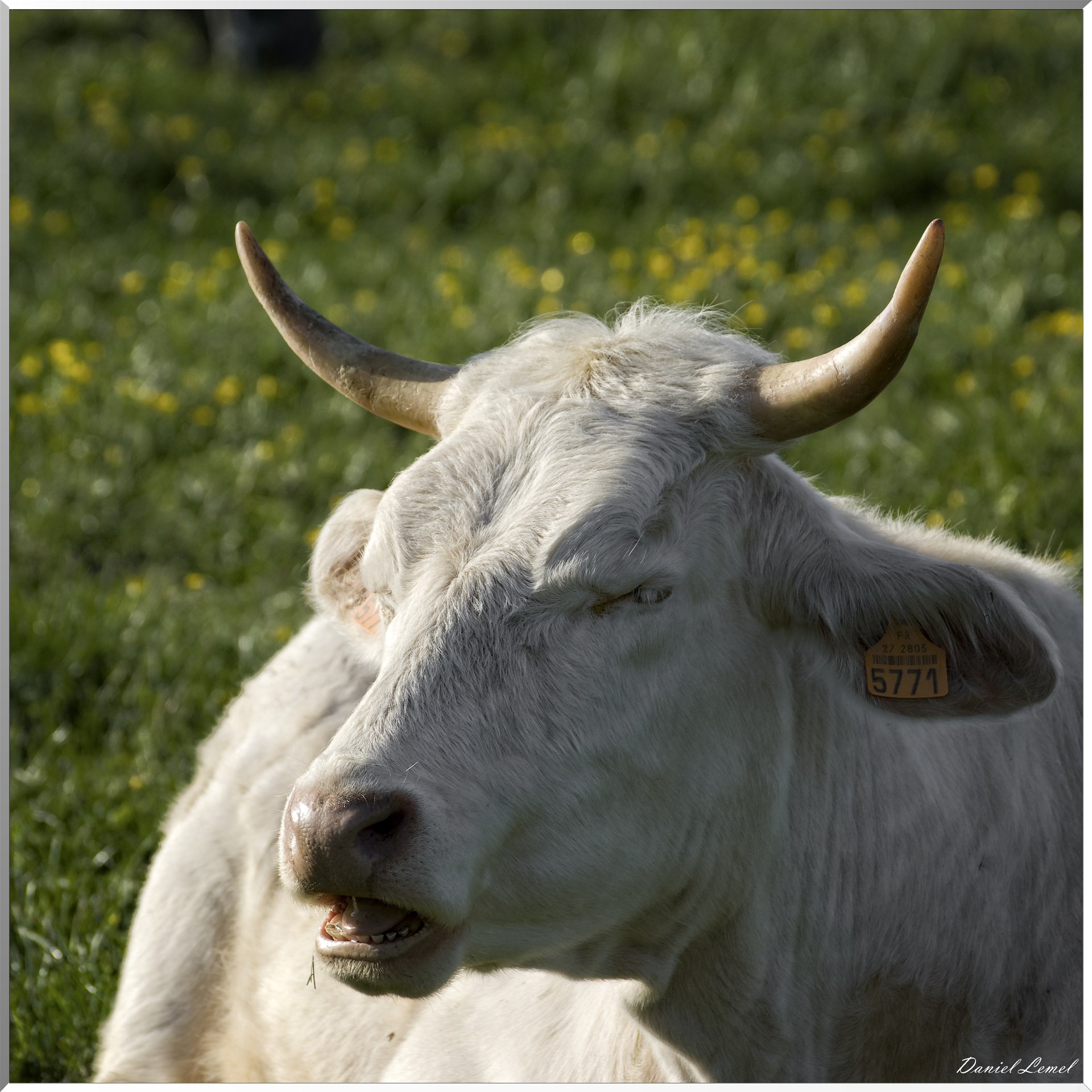 Saint-Pierre-de-Bailleul