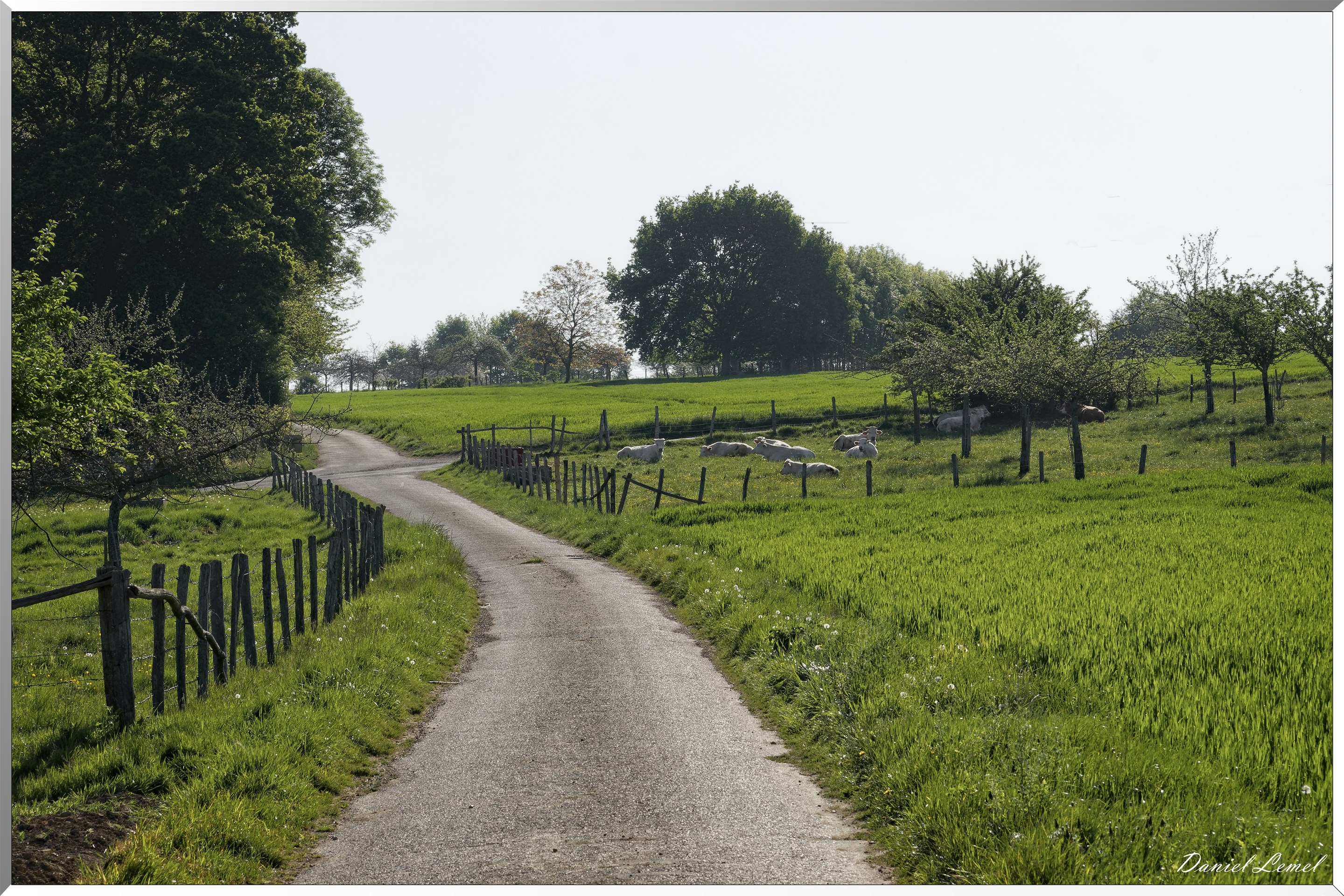 Saint-Pierre-de-Bailleul