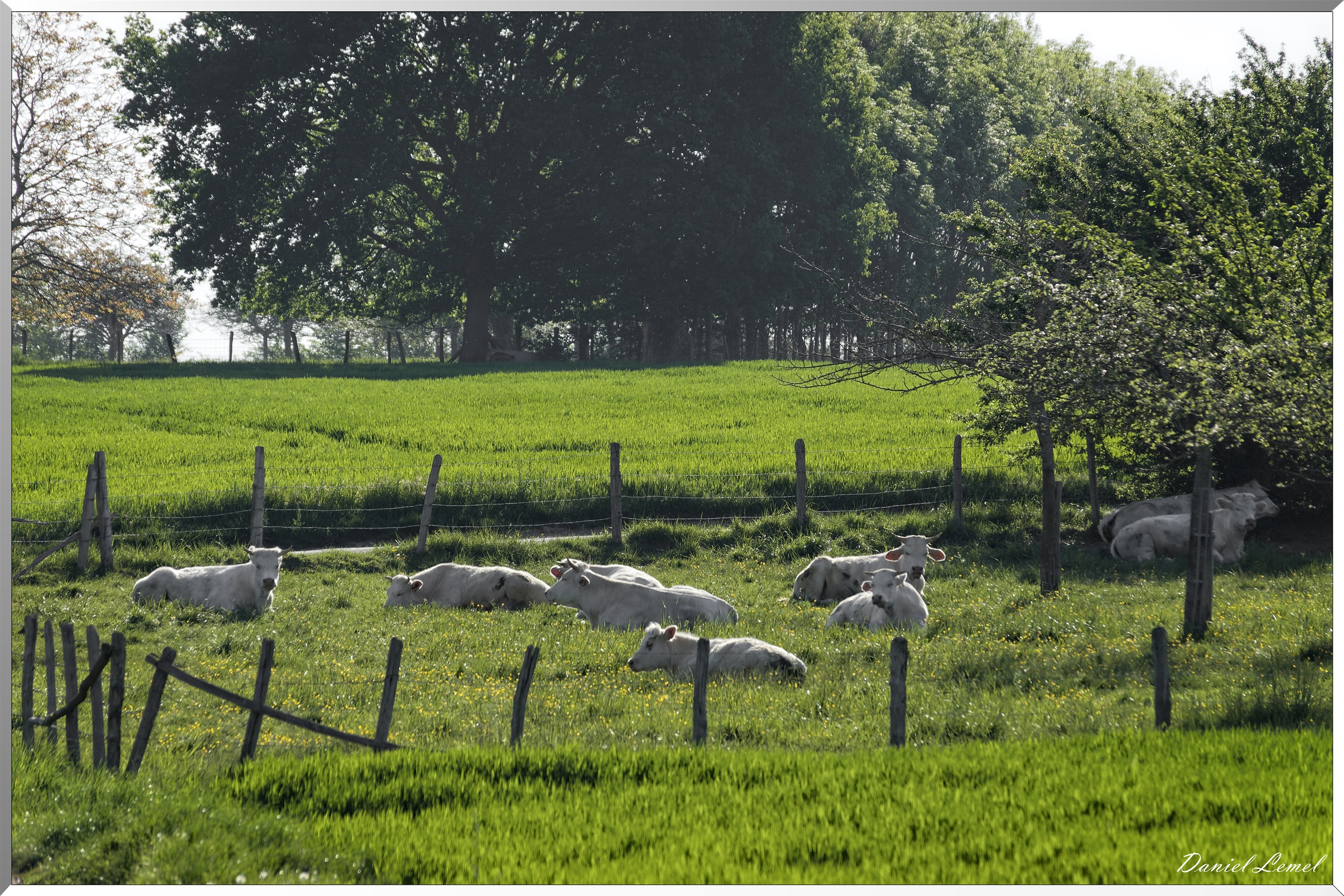 Saint-Pierre-de-Bailleul