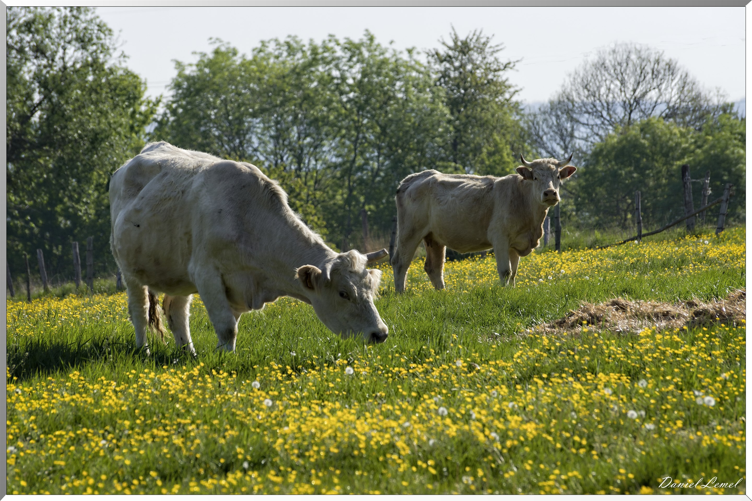 Saint-Pierre-de-Bailleul